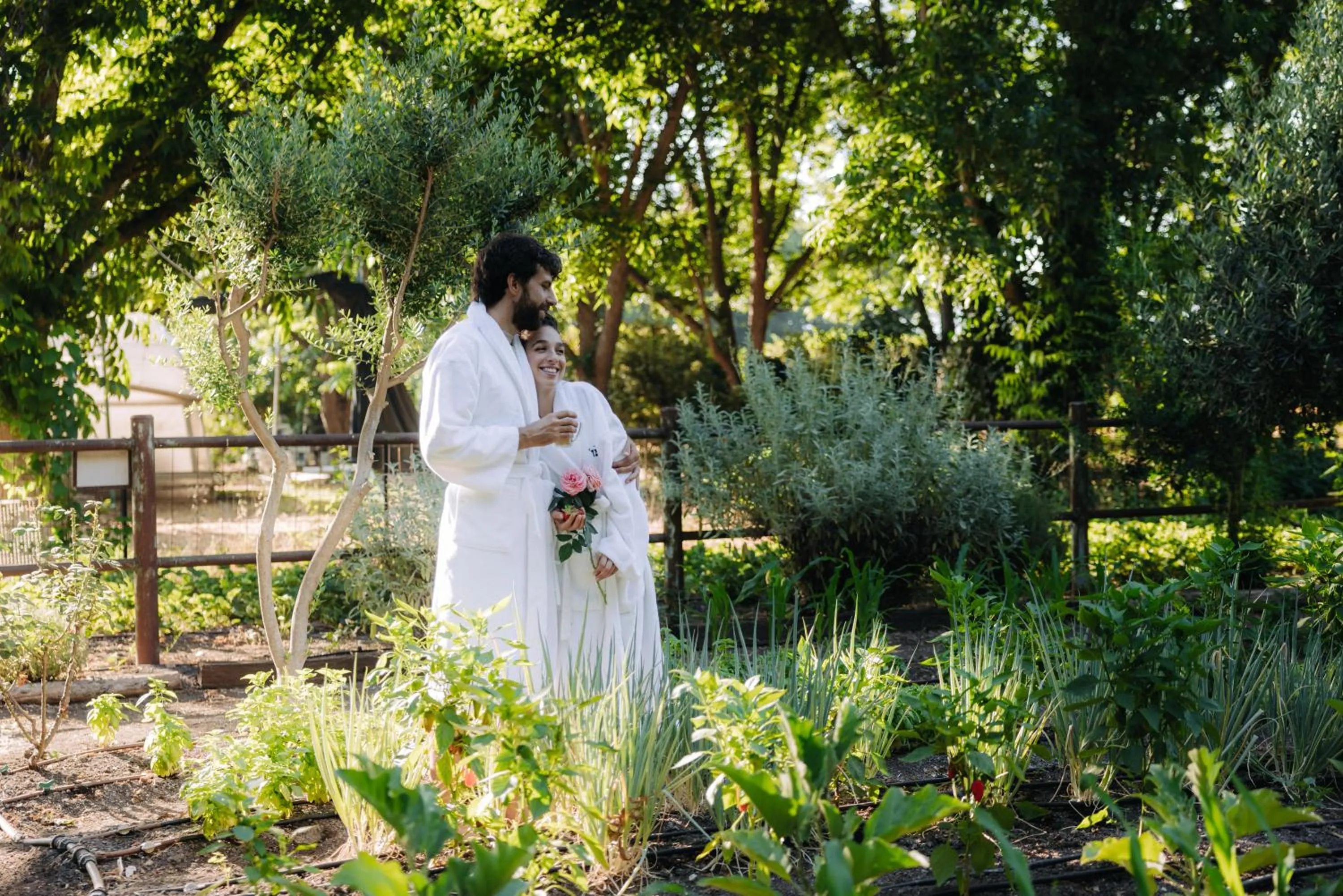 Garden in Vitrage Holiday Village and Spa