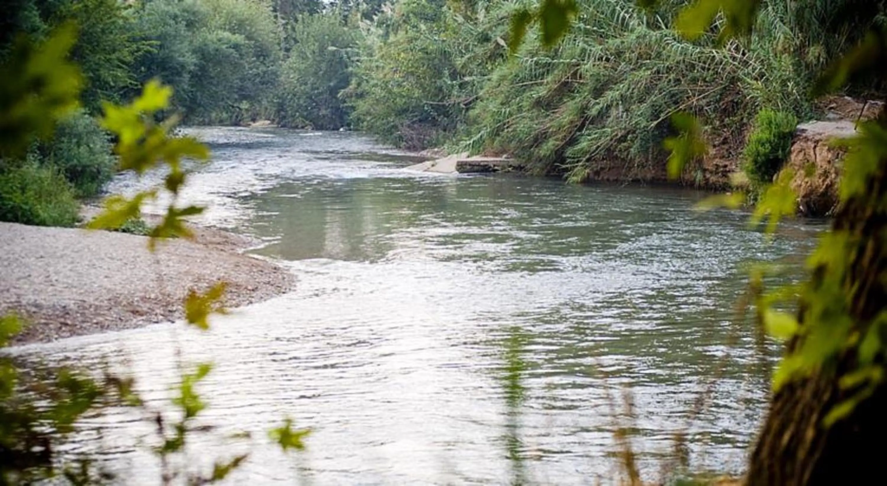 Natural landscape in Vitrage Holiday Village and Spa