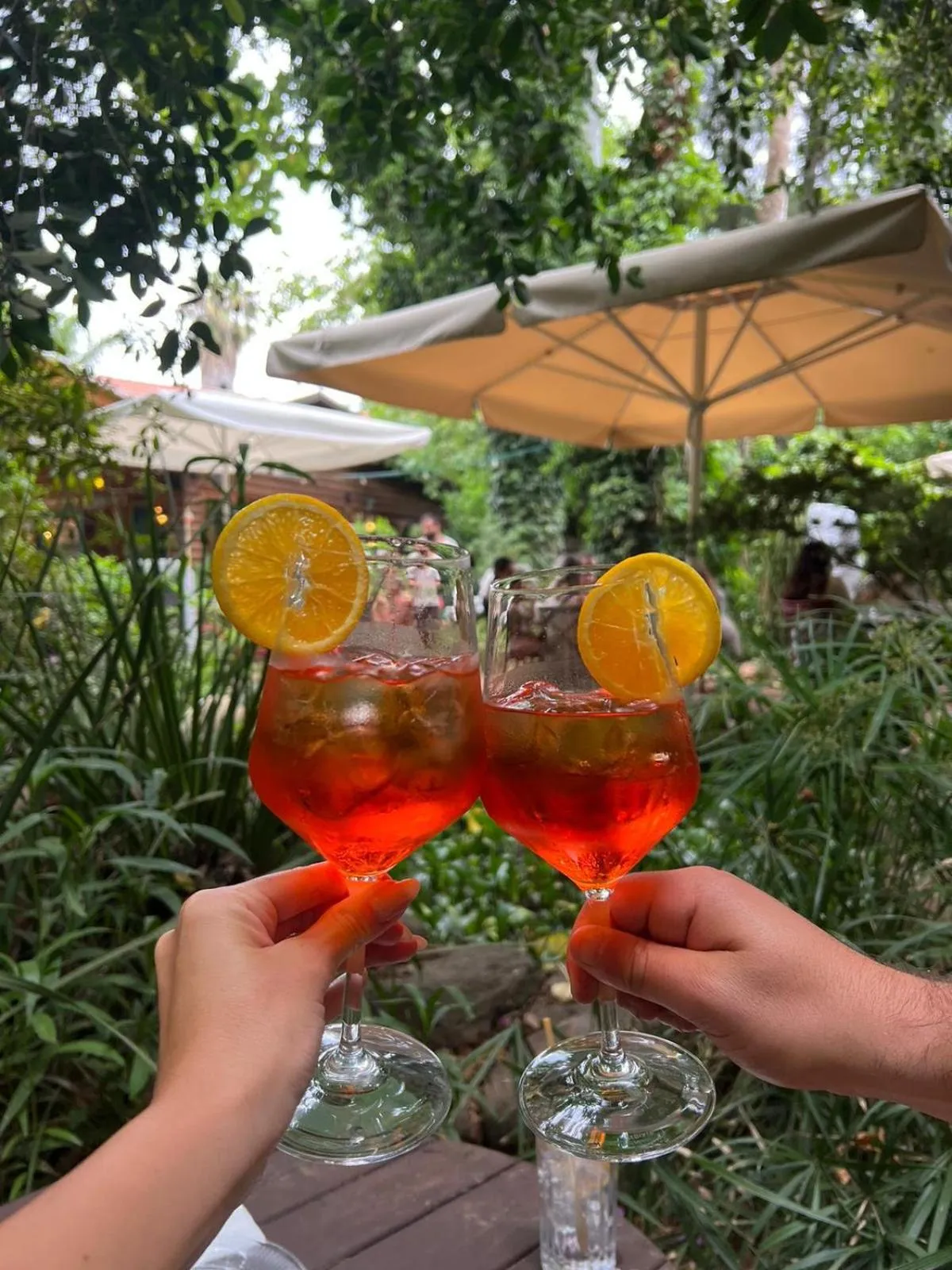 Restaurant/places to eat in Vitrage Holiday Village and Spa