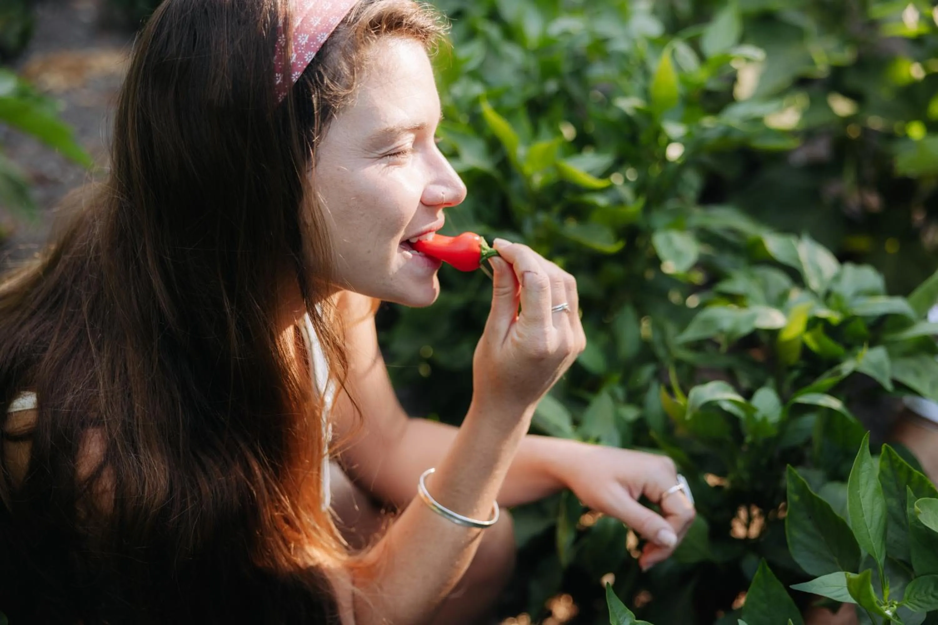 Garden in Vitrage Holiday Village and Spa