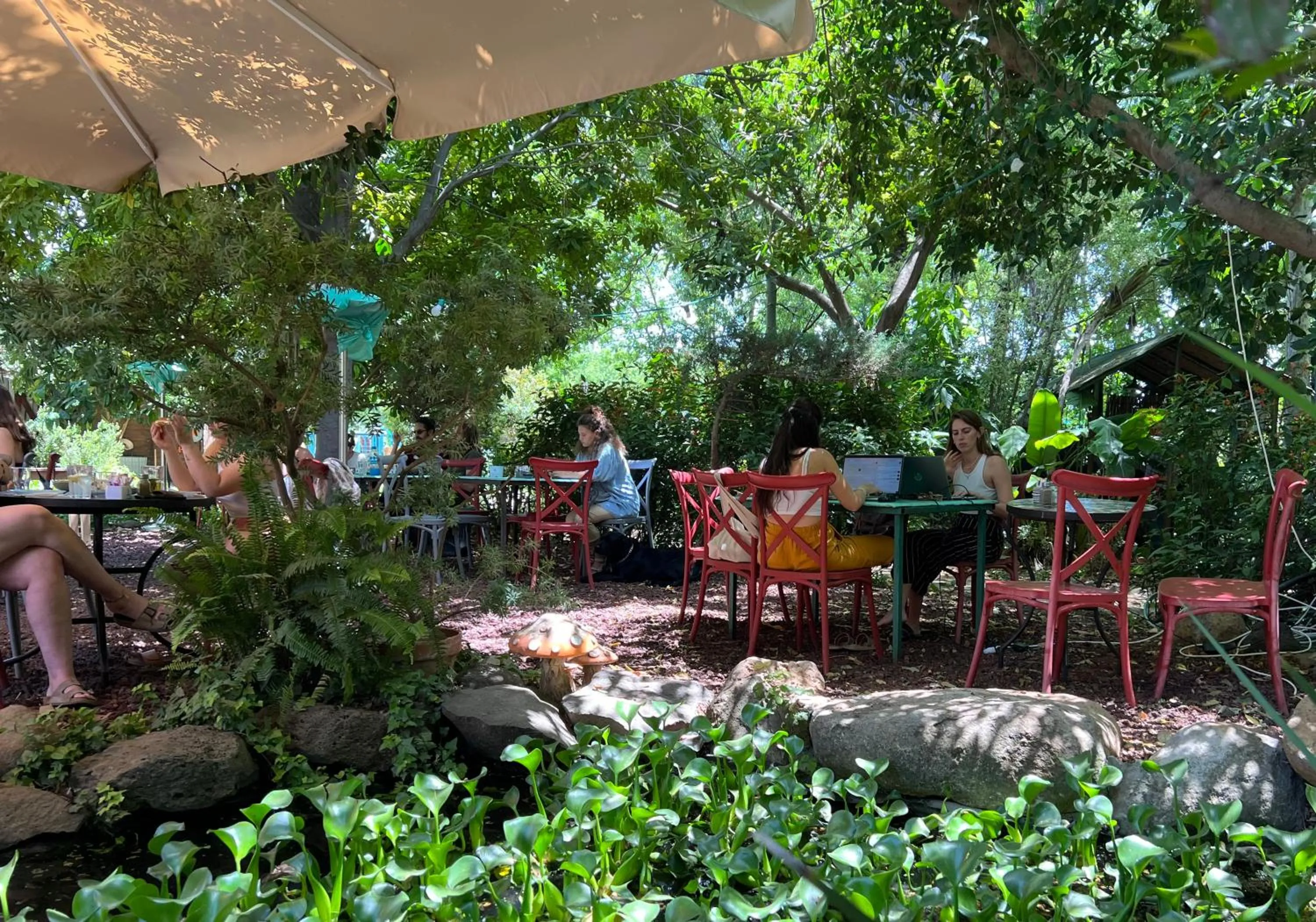 Restaurant/places to eat in Vitrage Holiday Village and Spa