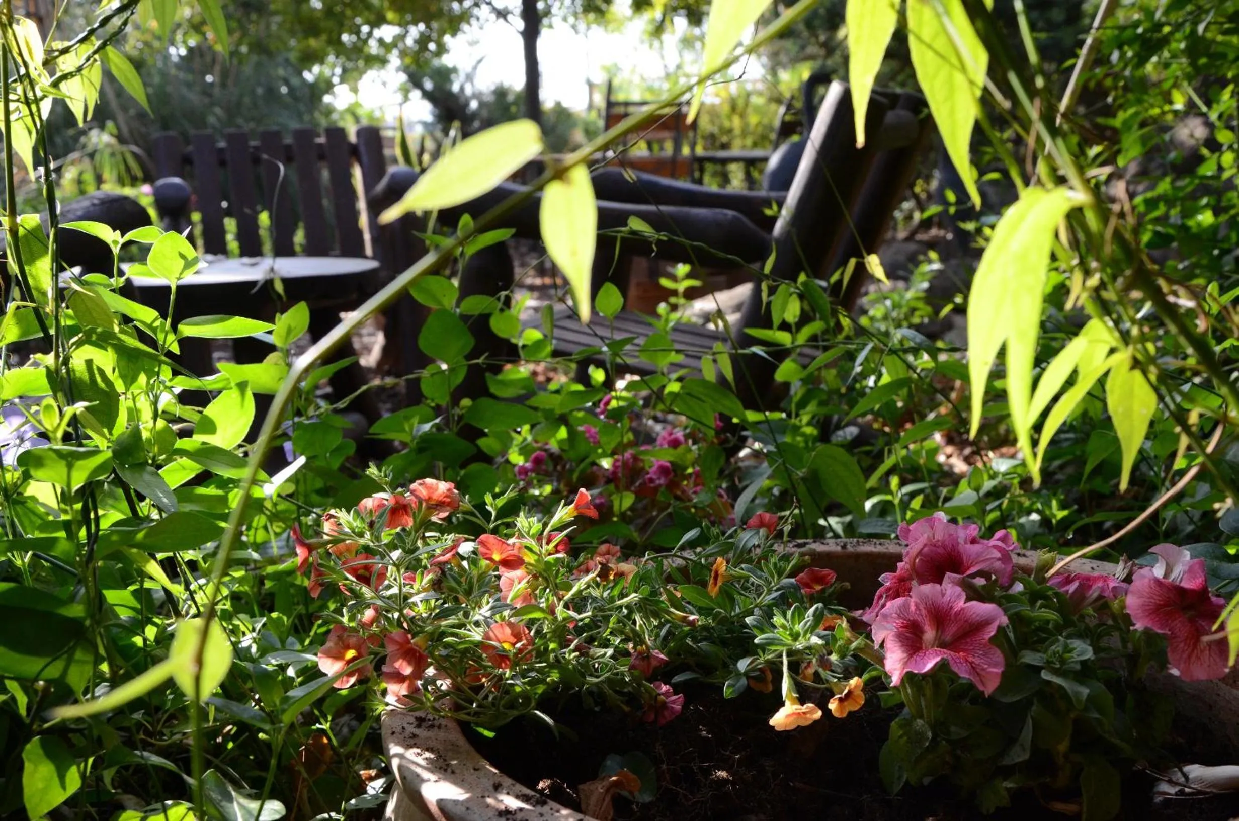 Garden in Vitrage Holiday Village and Spa