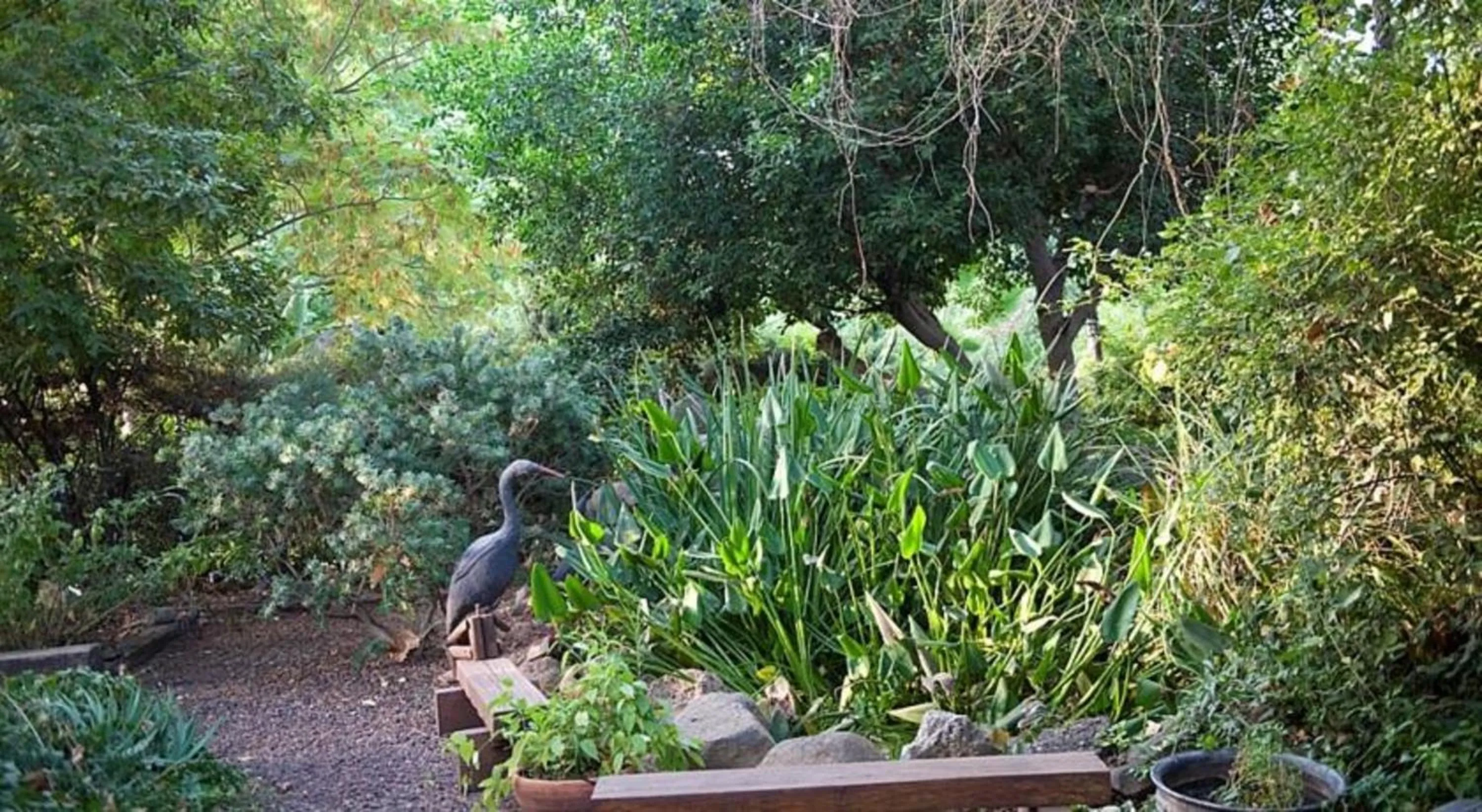 Garden in Vitrage Holiday Village and Spa