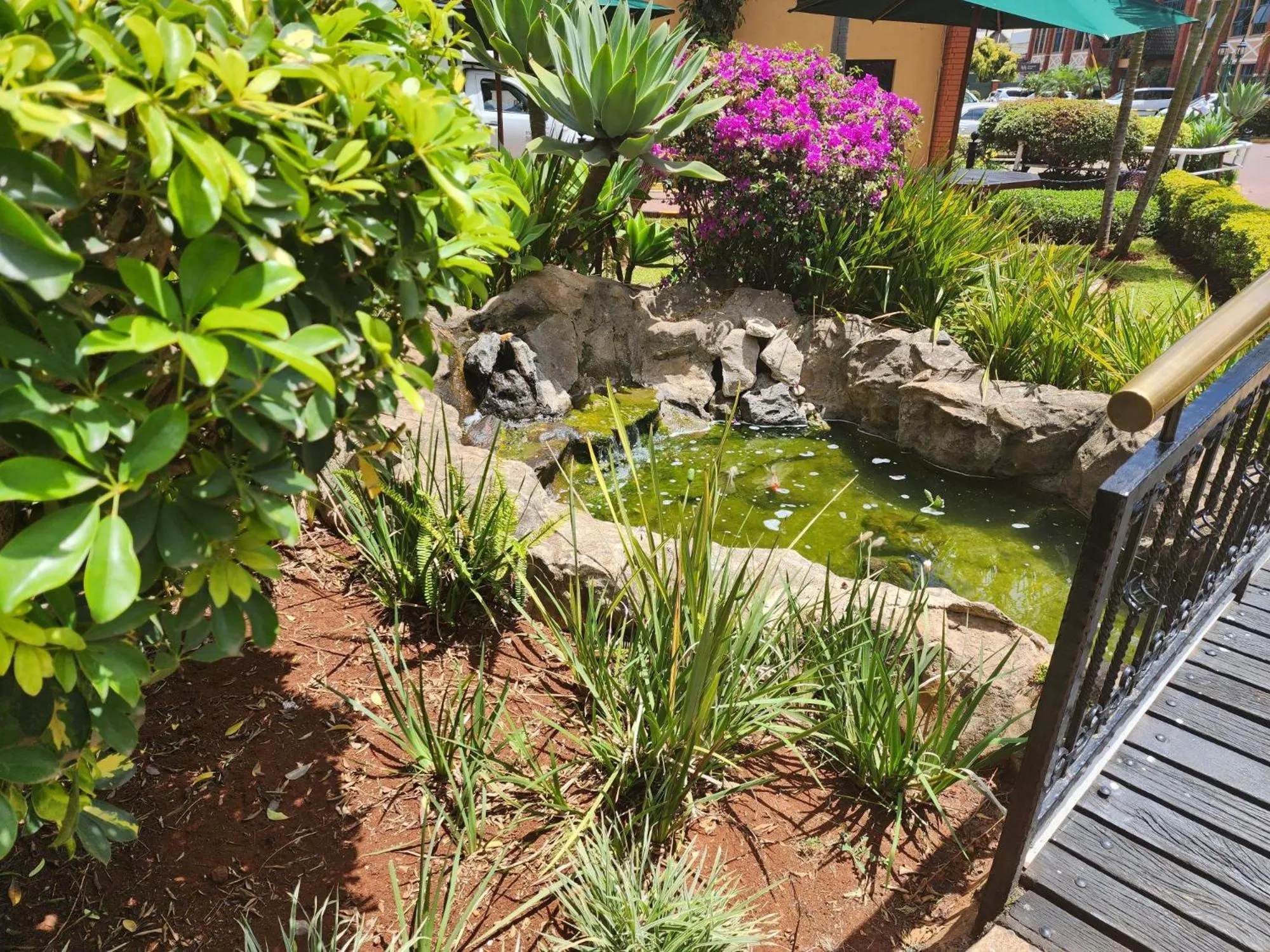 Garden in Boma Inn Nairobi