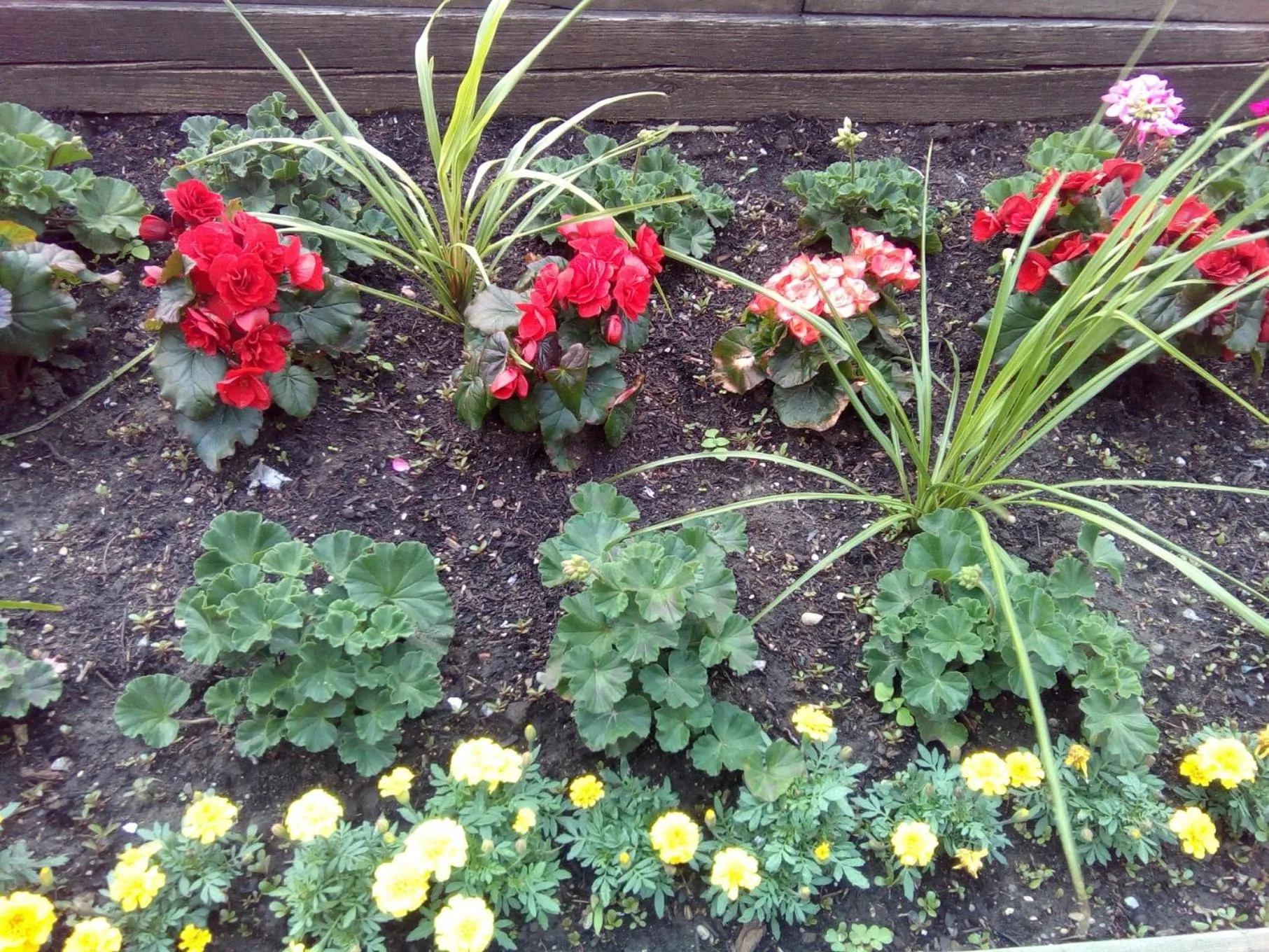 Natural landscape in LeMarida Suites