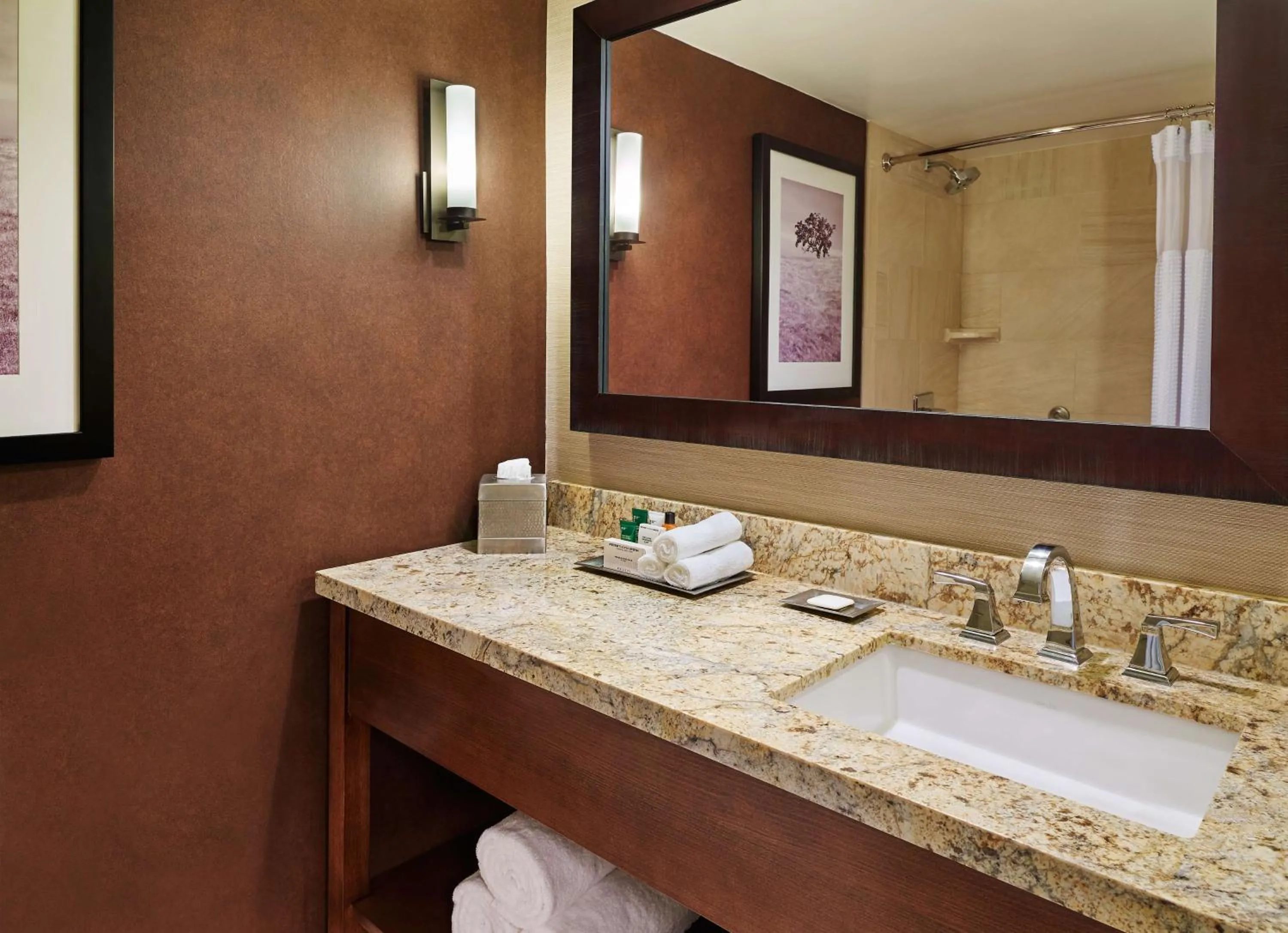 Bathroom in DoubleTree by Hilton San Antonio Airport