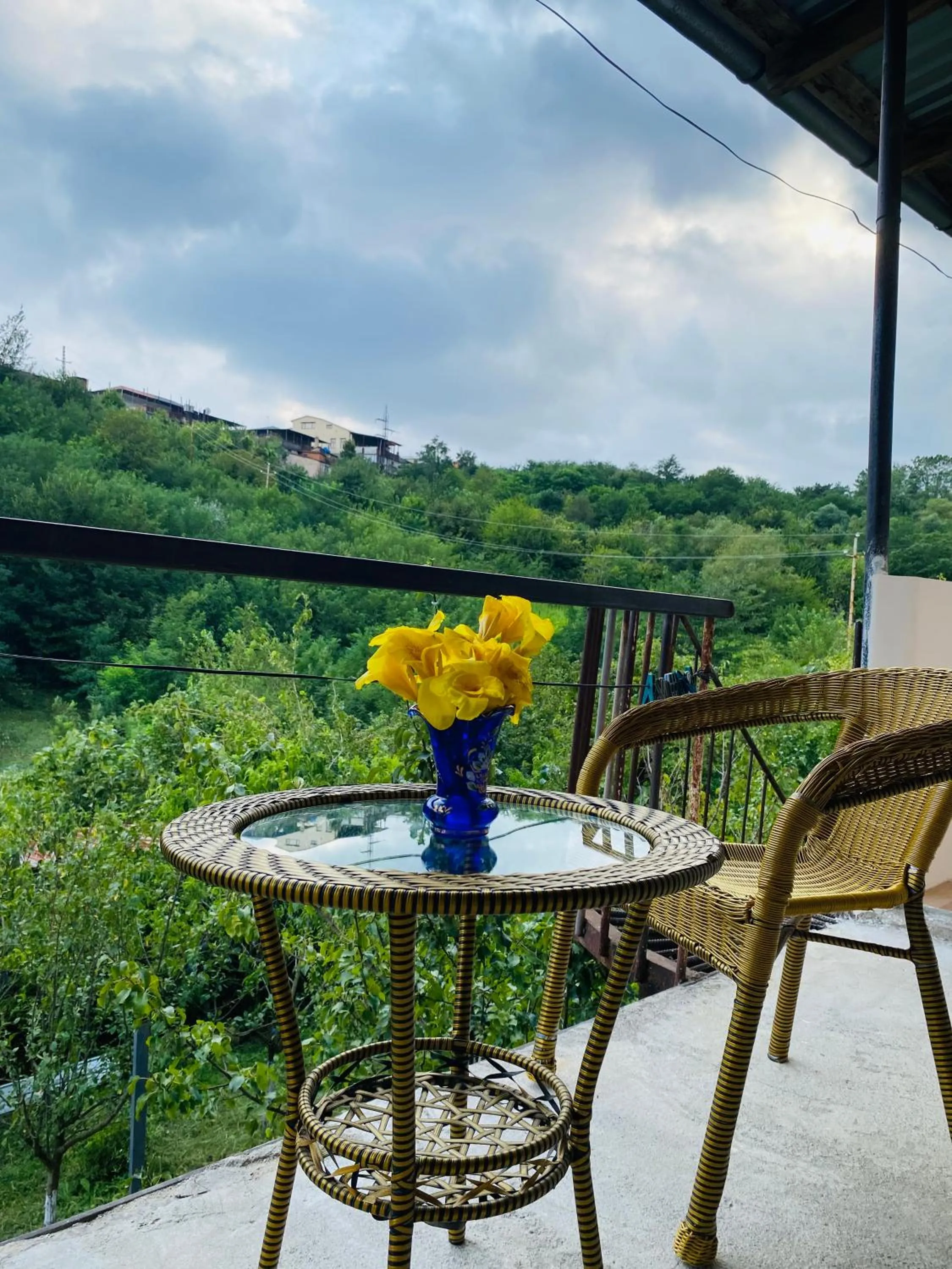 Guesthouse Hill Side