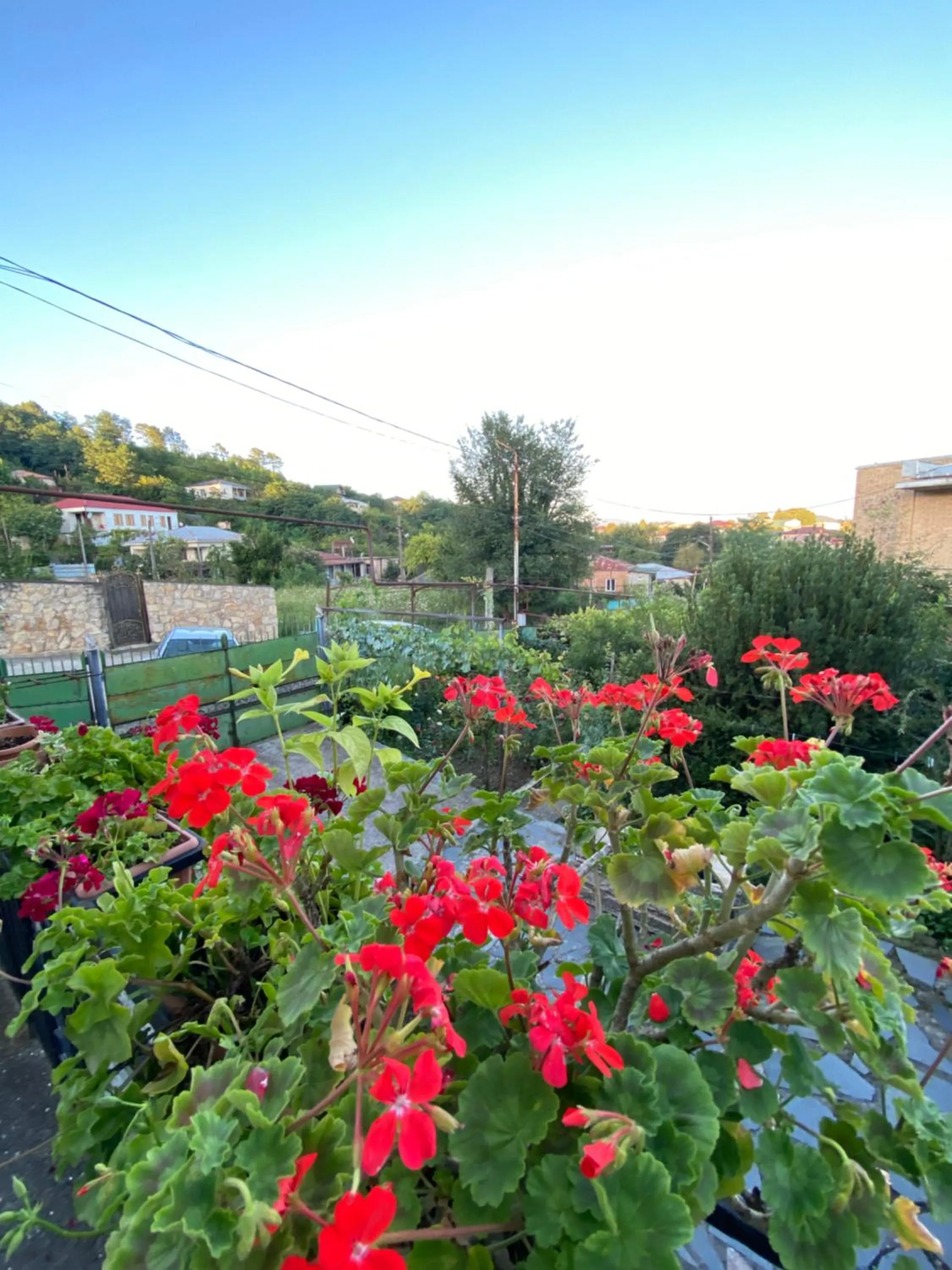 Guesthouse Hill Side