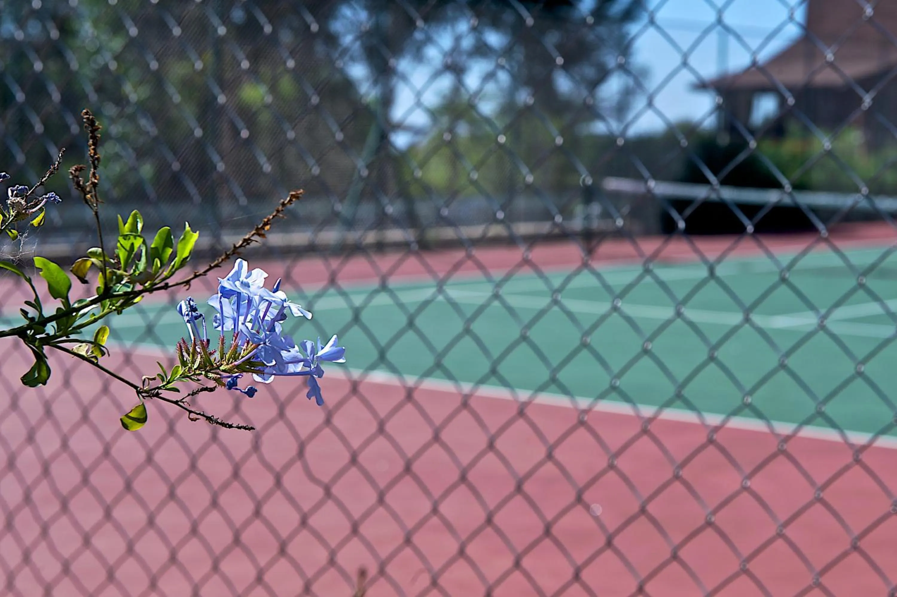 The Great Rift Valley Lodge & Golf Resort