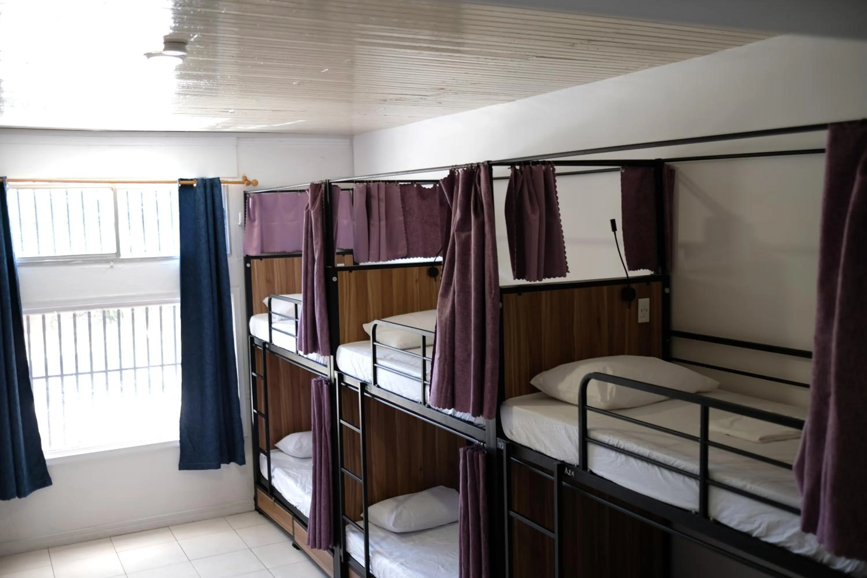 bunk bed, Bed in Ragamuffin Hostel