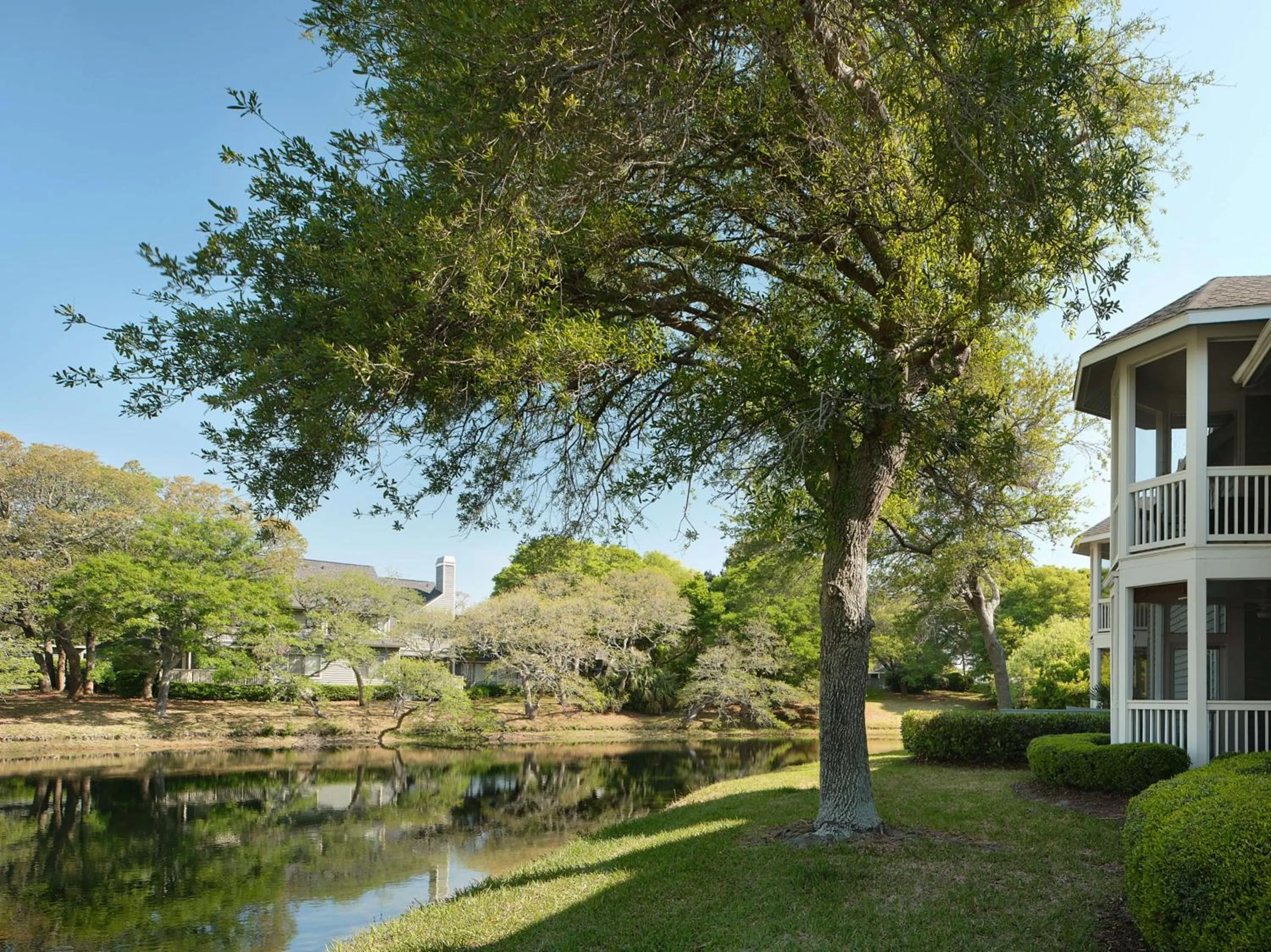 View (from property/room) in Kingston Plantation Condos
