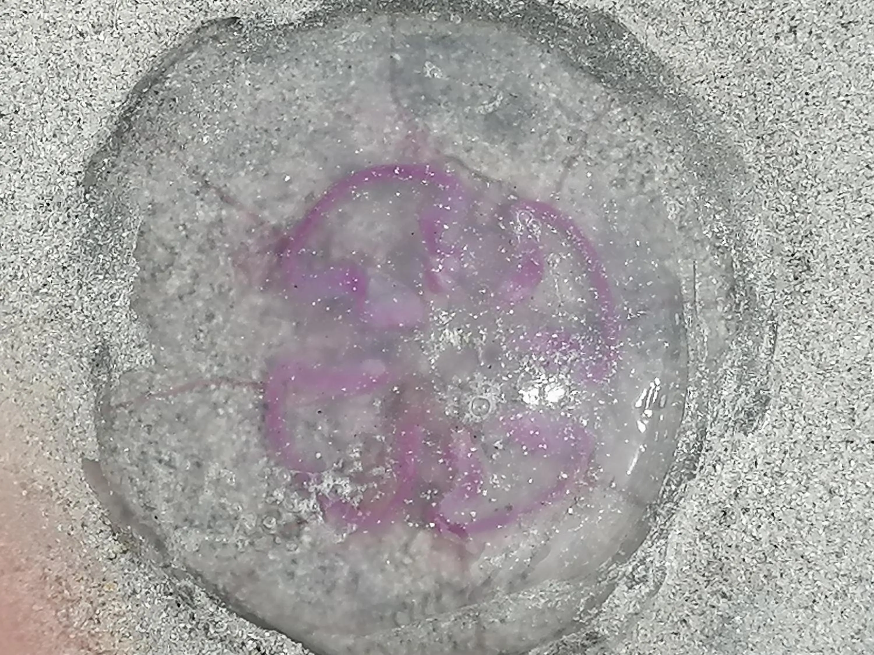 The Fisherman's Snug self catering North Uist