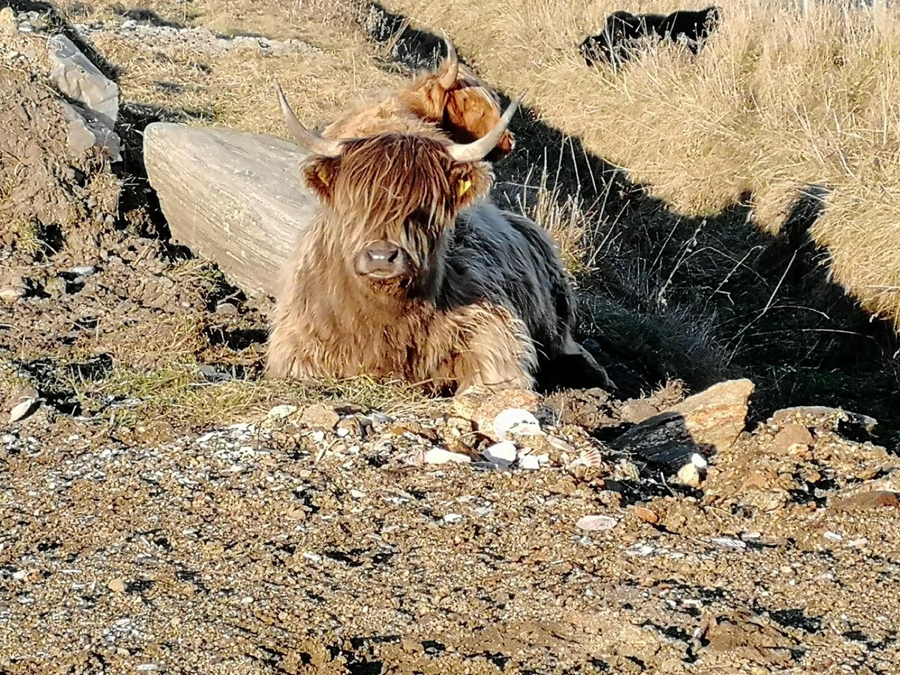 The Fisherman's Snug self catering North Uist