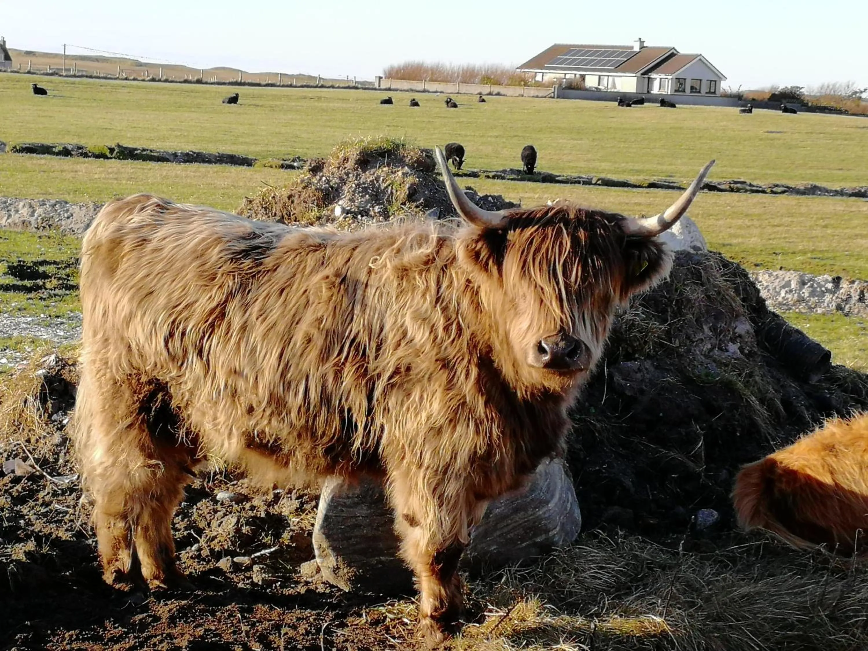 The Fisherman's Snug self catering North Uist