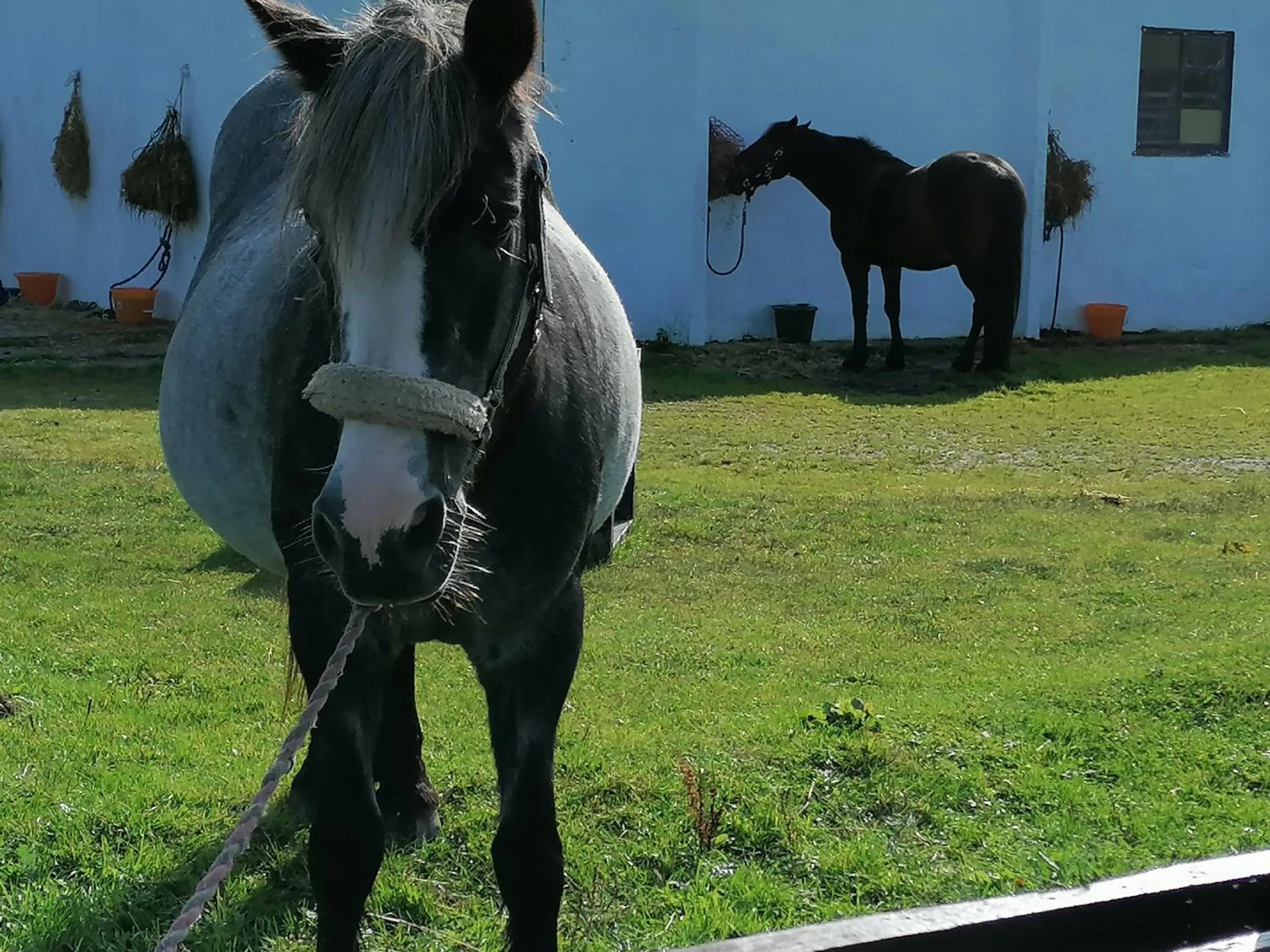 The Fisherman's Snug self catering North Uist