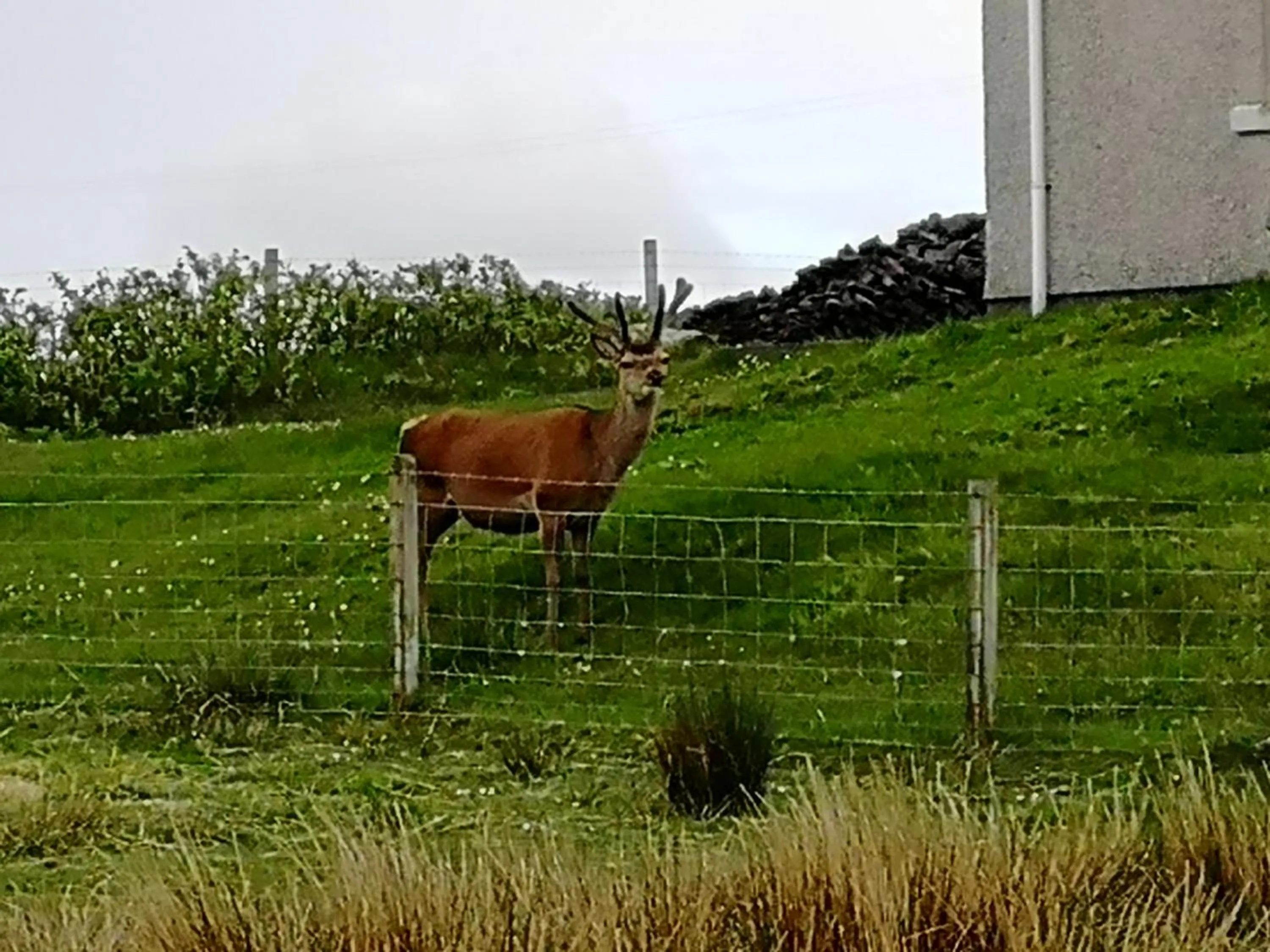 The Fisherman's Snug self catering North Uist