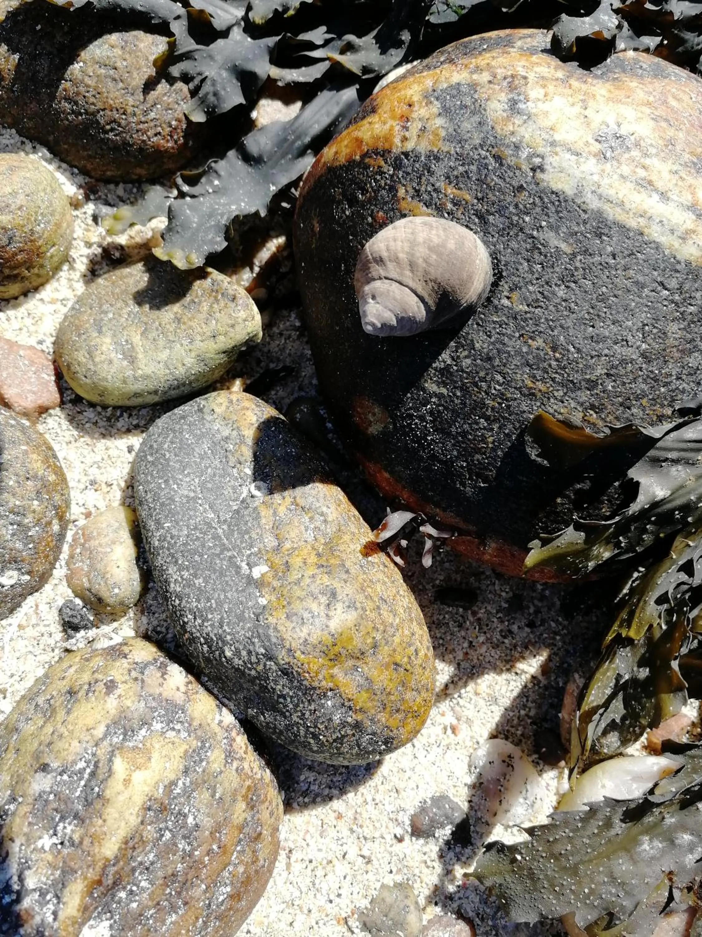 The Fisherman's Snug self catering North Uist