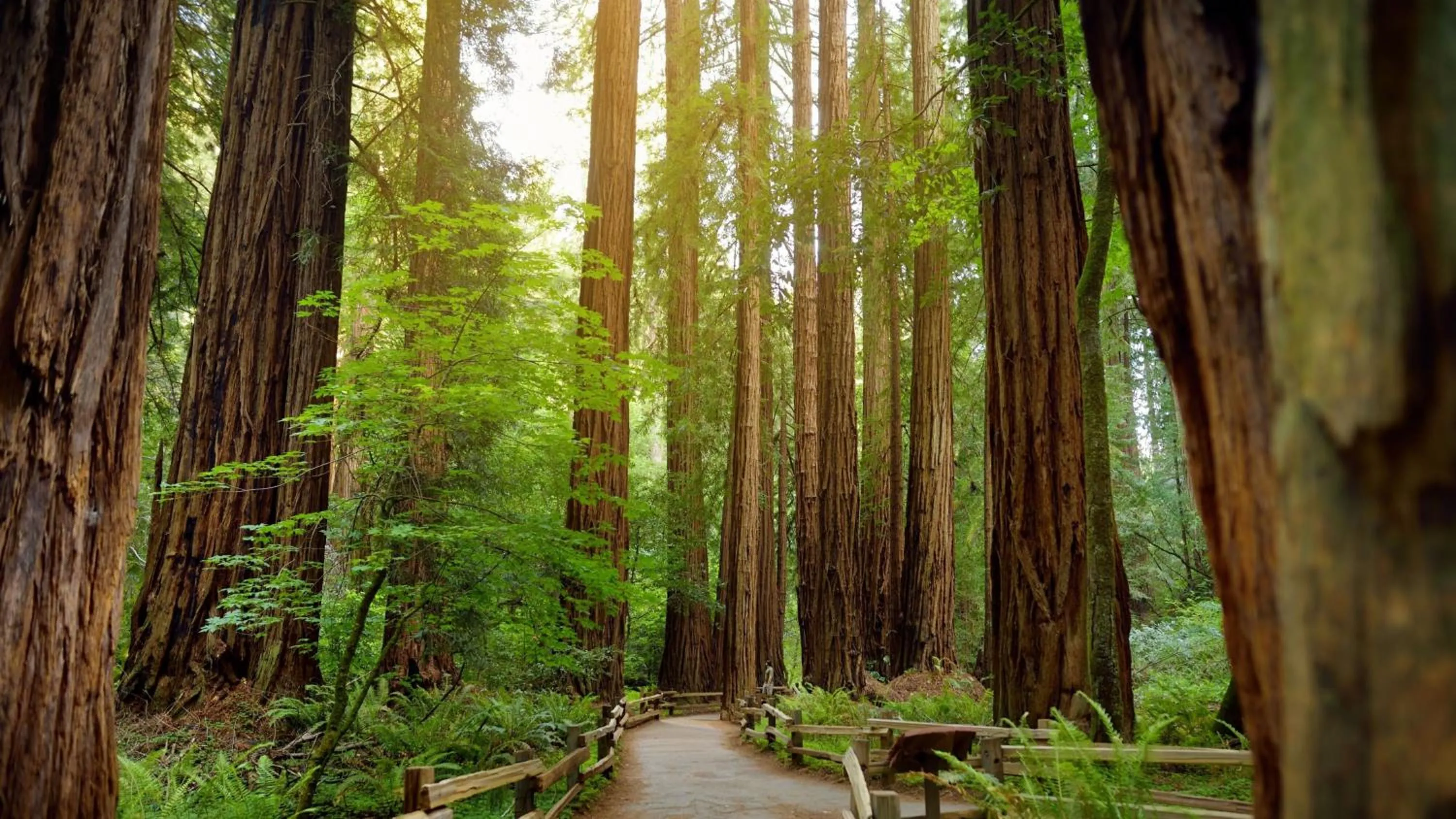 Nearby landmark in Courtyard San Francisco Airport Burlingame
