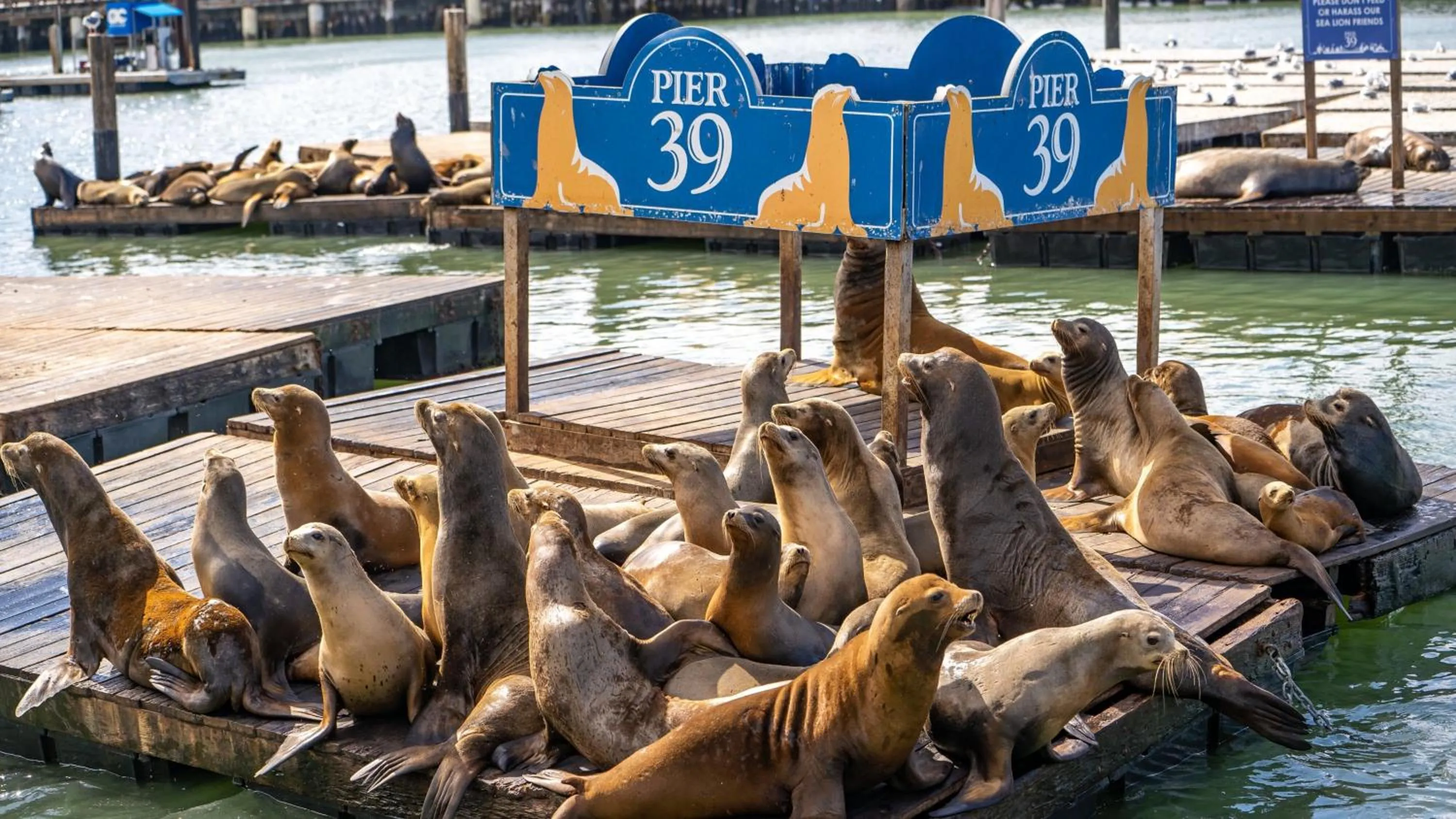 Nearby landmark in Courtyard San Francisco Airport Burlingame