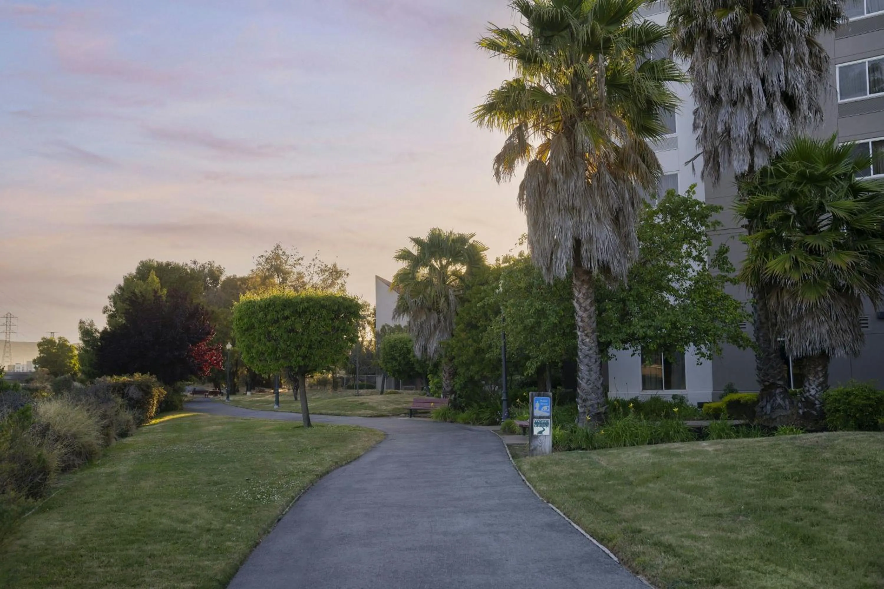 View (from property/room) in Courtyard San Francisco Airport Burlingame