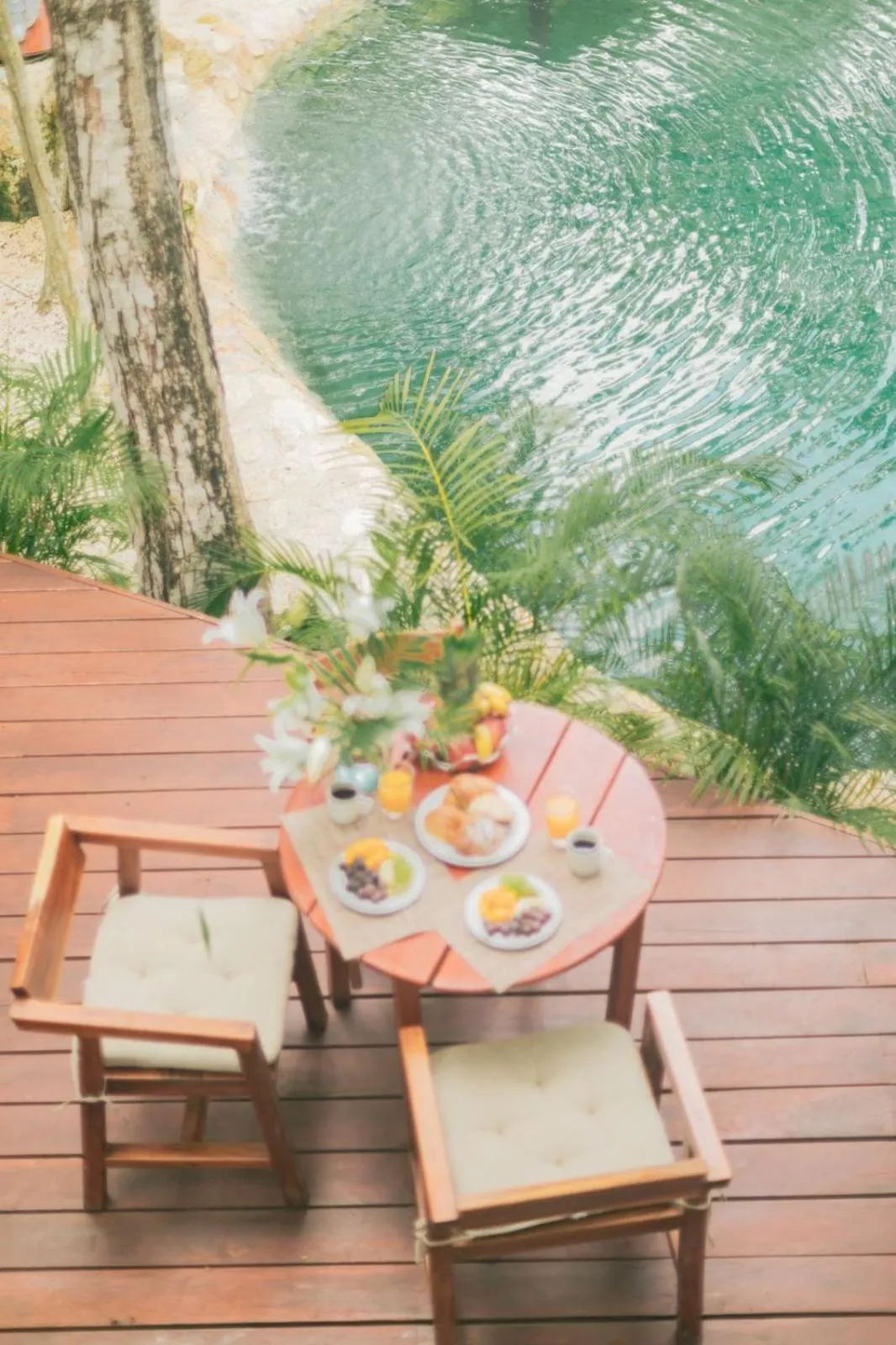 Dining area in Nahouse Jungle Lodges