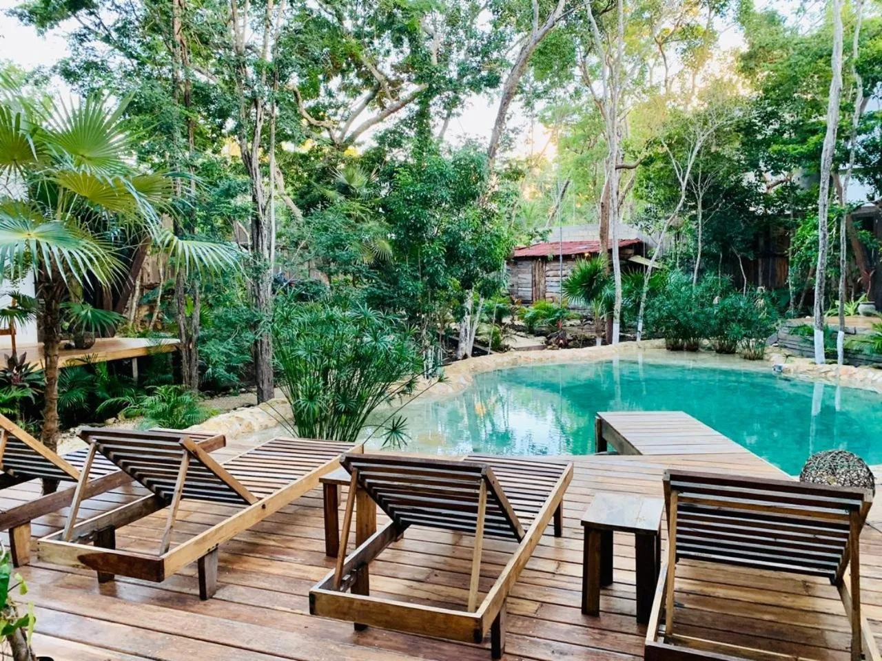 Solarium in Nahouse Jungle Lodges