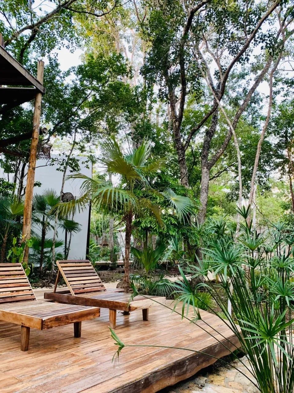 Garden in Nahouse Jungle Lodges