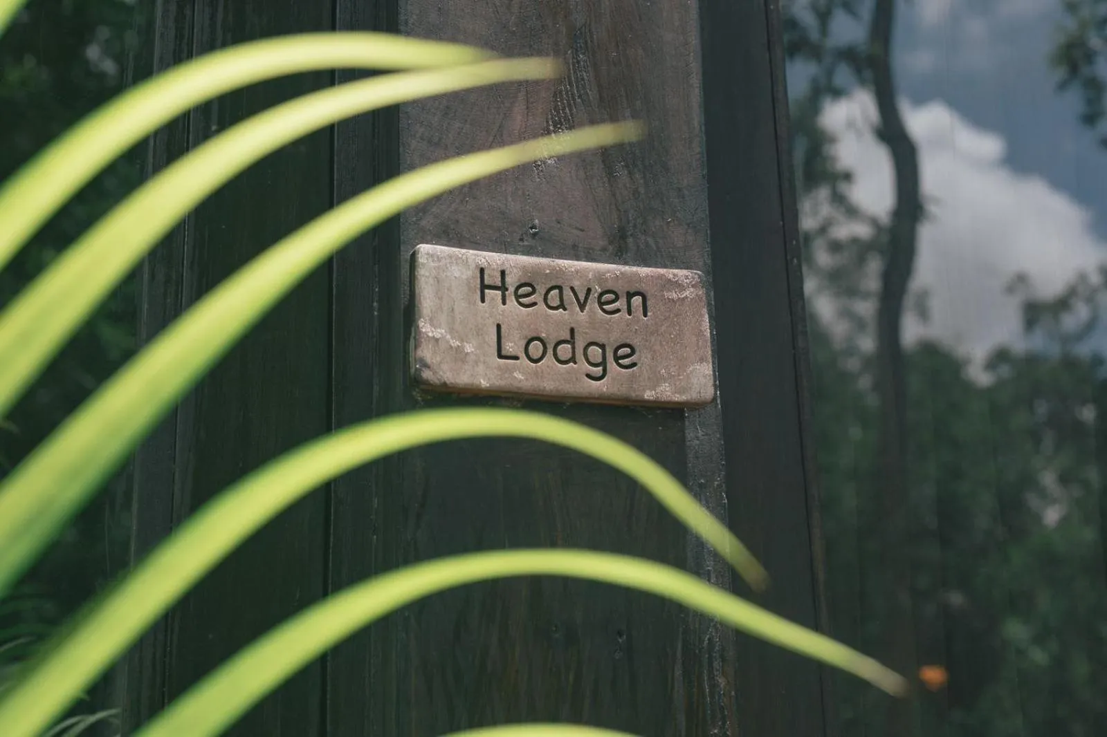 Nahouse Jungle Lodges