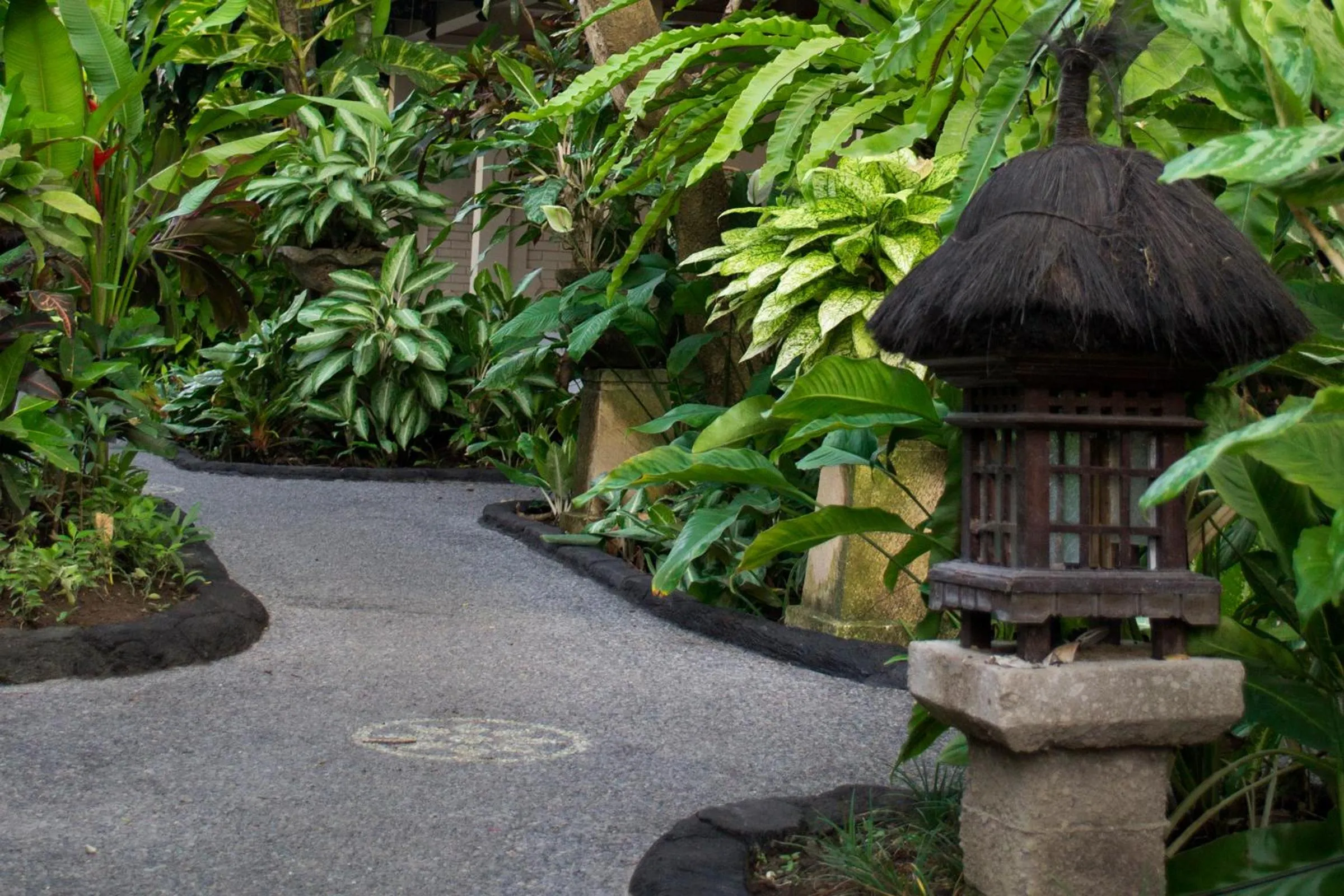 Garden in Flamboyan Hotel
