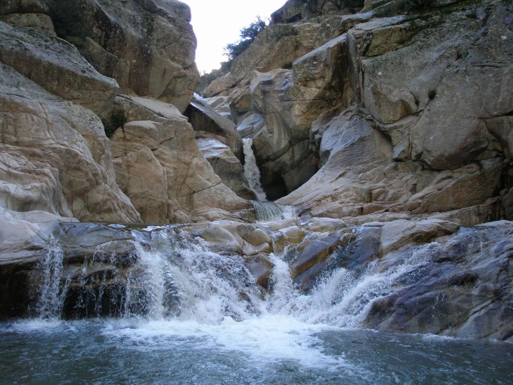Squash in HOTEL ORLANDO Sardegna