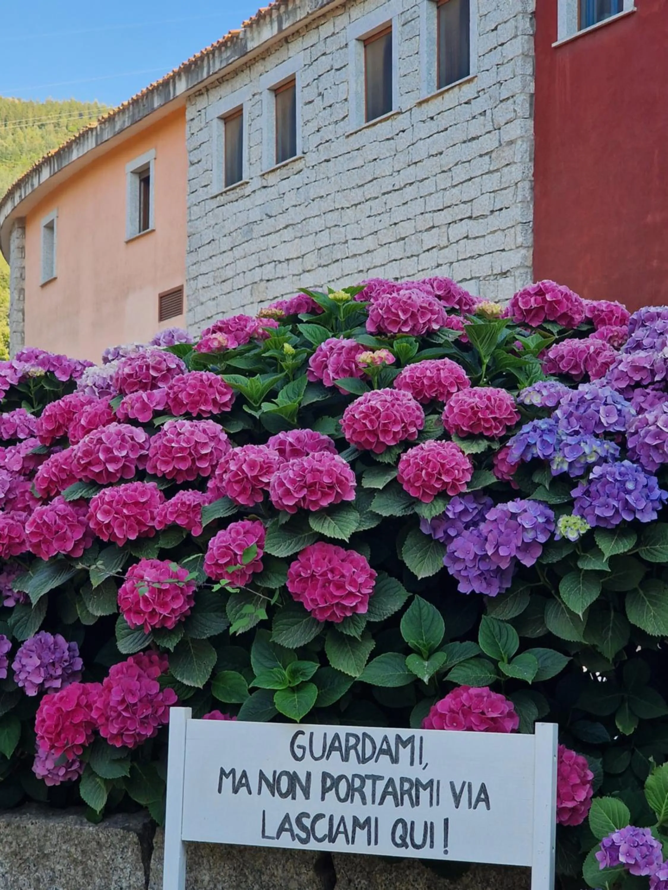 Garden in HOTEL ORLANDO Sardegna