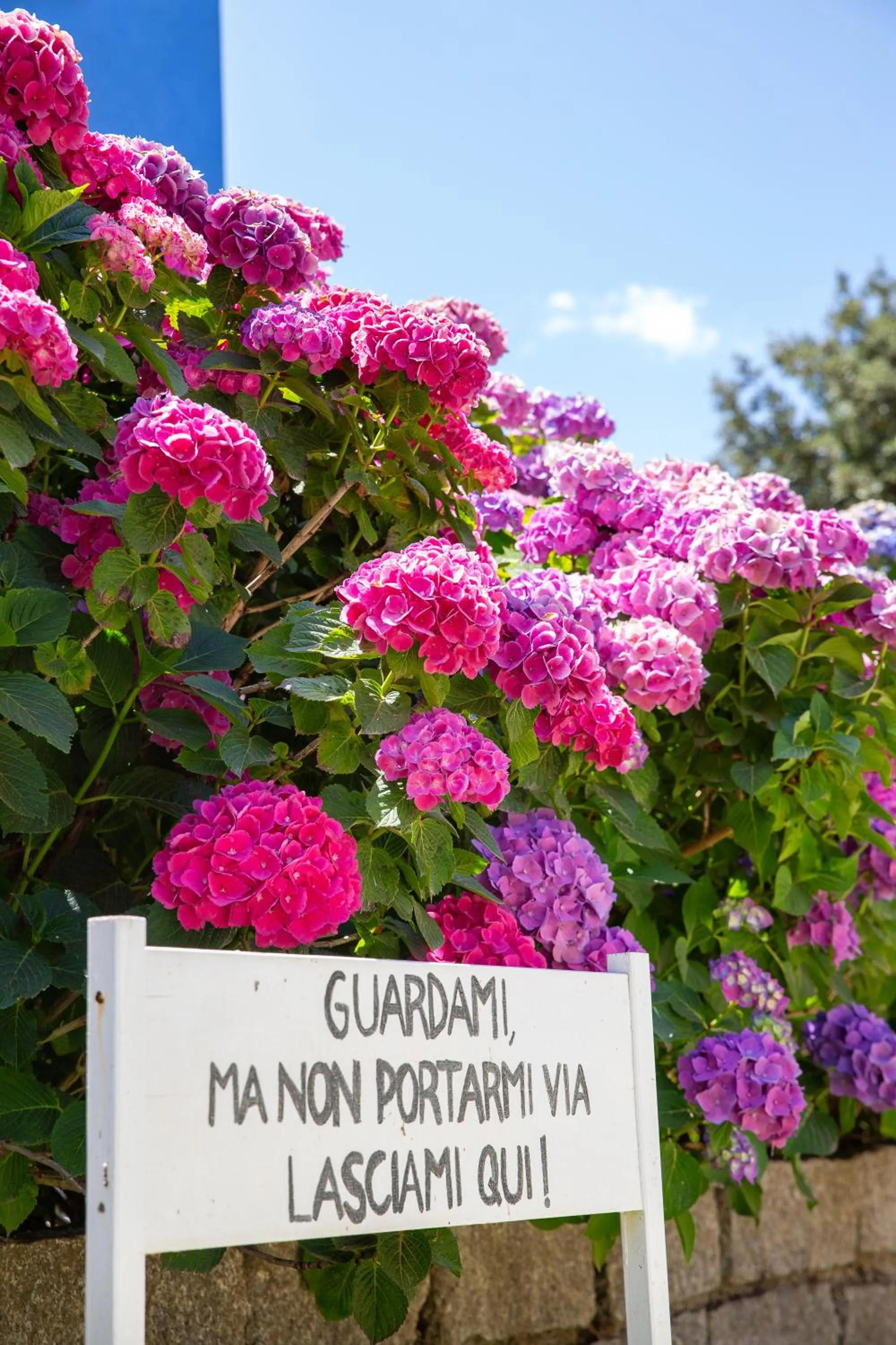 Garden in HOTEL ORLANDO Sardegna
