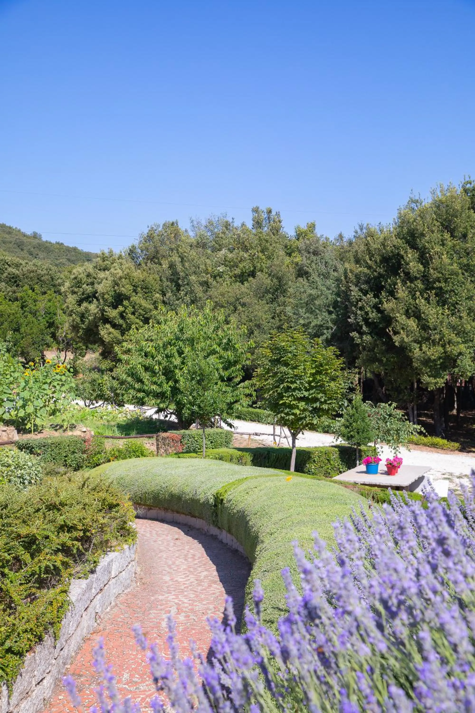 Property building in HOTEL ORLANDO Sardegna