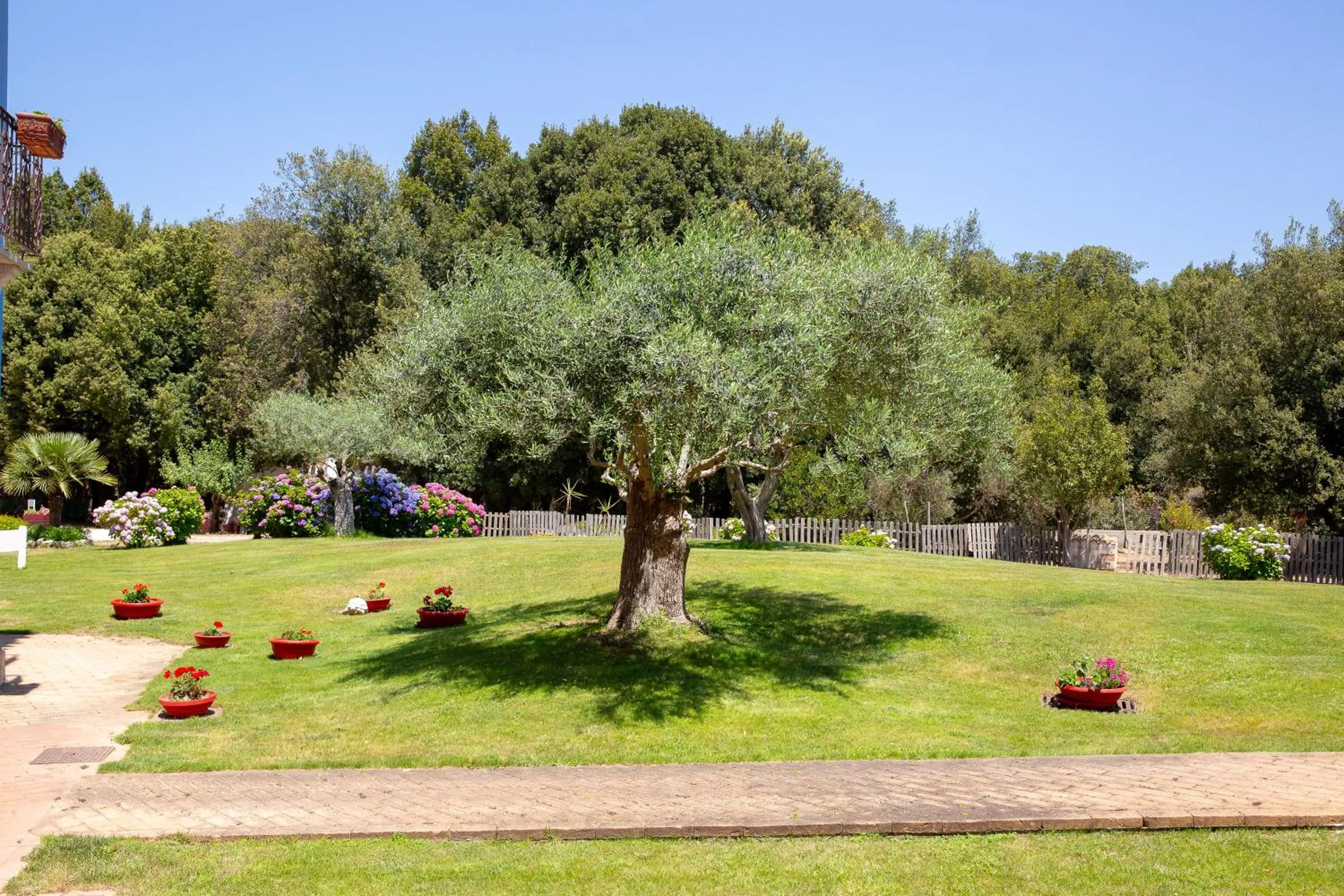 Garden in HOTEL ORLANDO Sardegna