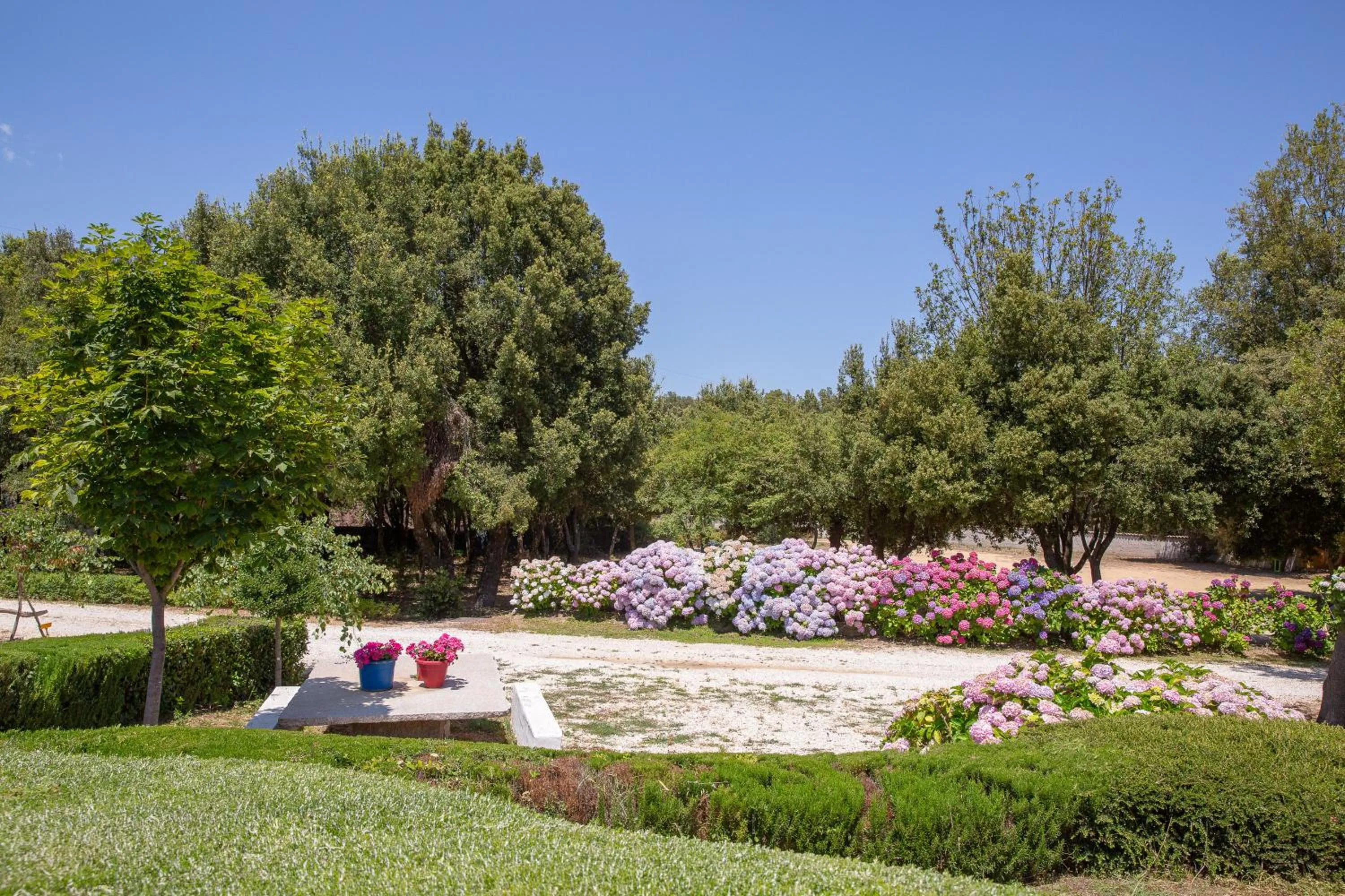 Garden in HOTEL ORLANDO Sardegna