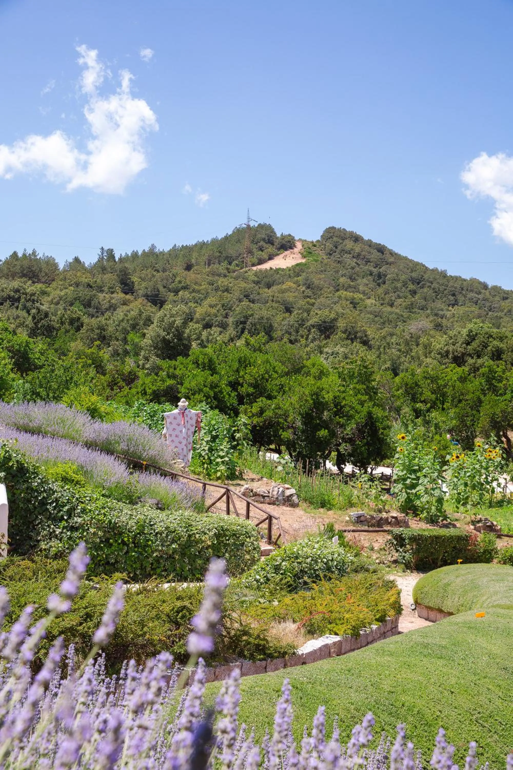 Garden in HOTEL ORLANDO Sardegna
