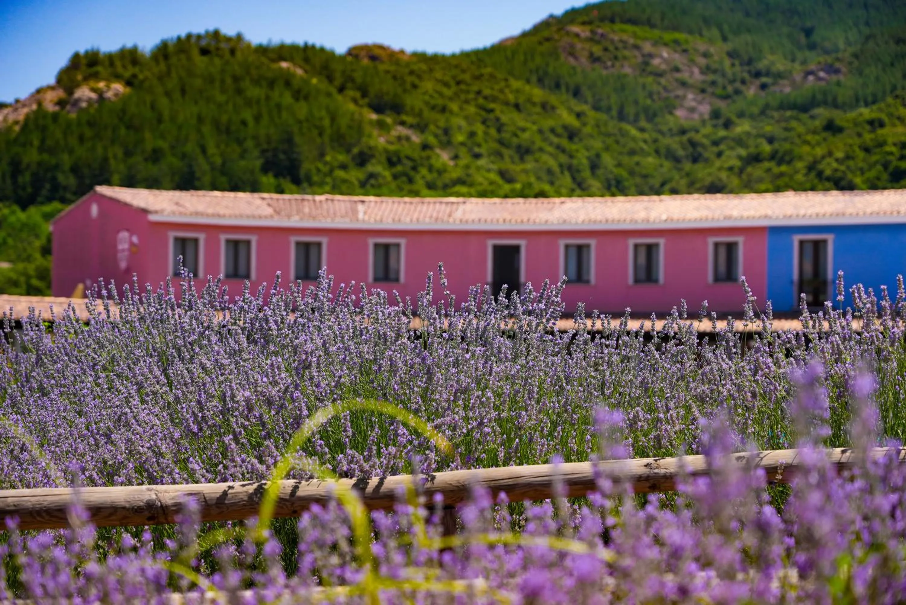 Property building in HOTEL ORLANDO Sardegna