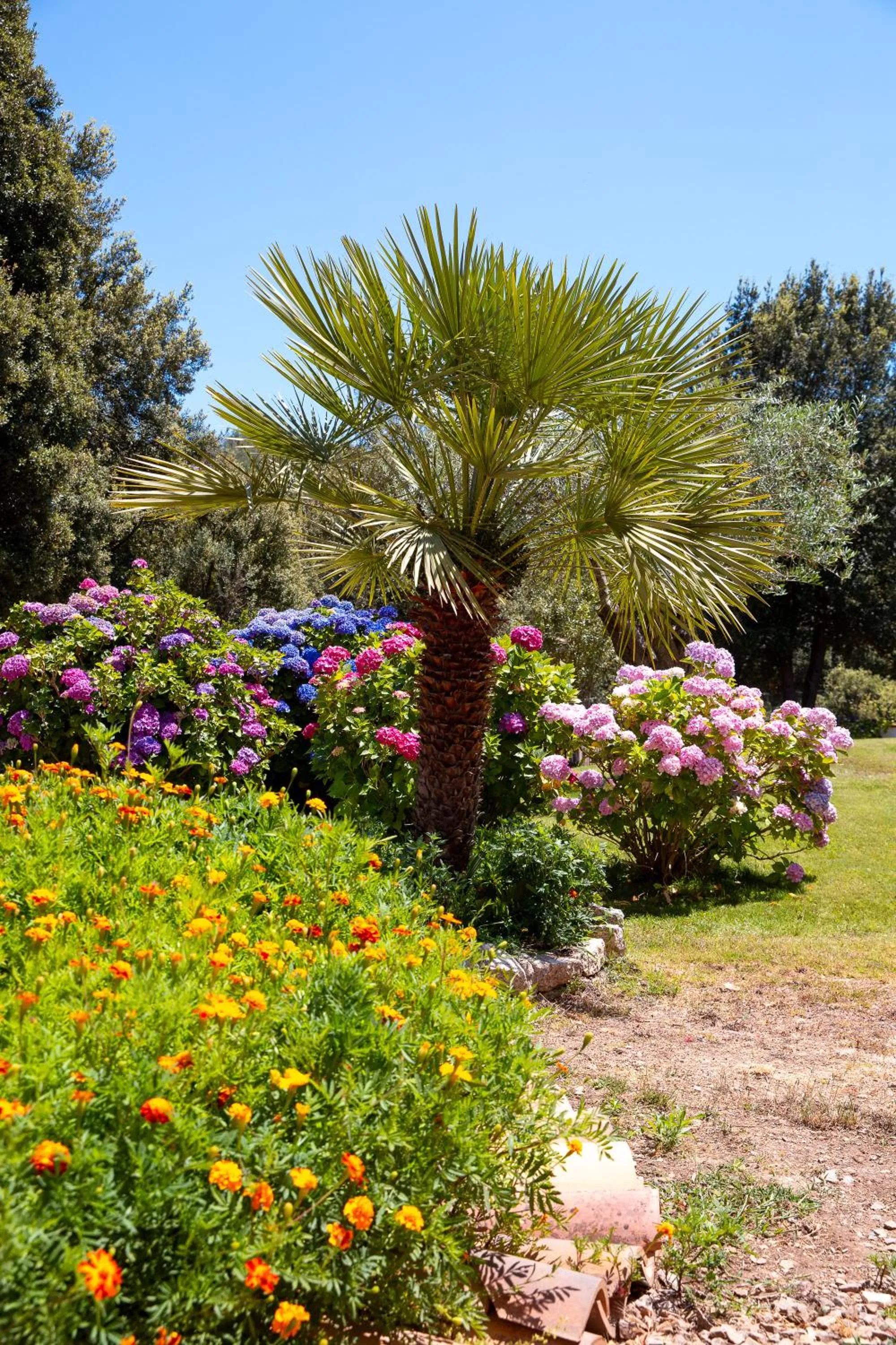 Garden in HOTEL ORLANDO Sardegna