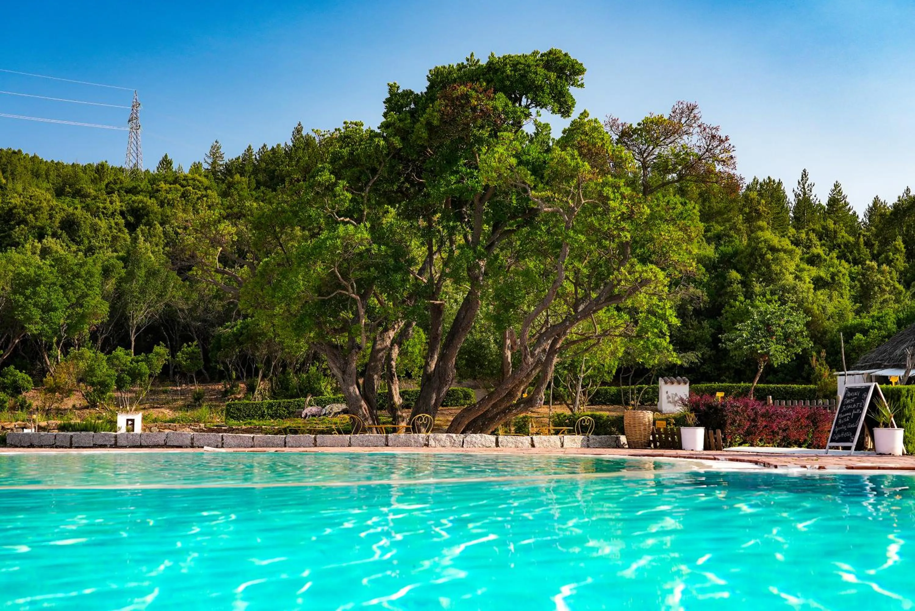 Garden in HOTEL ORLANDO Sardegna