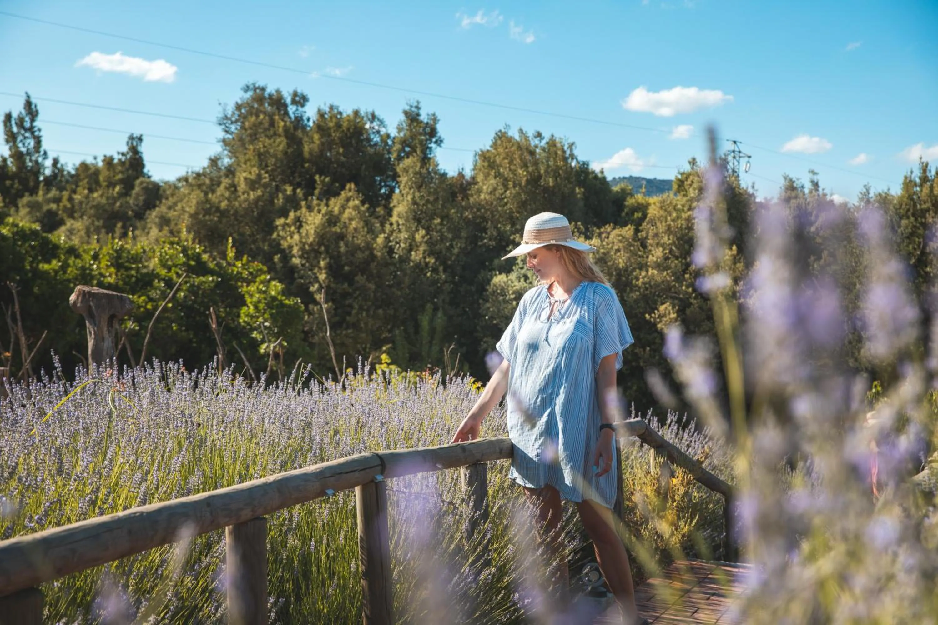 Natural landscape in HOTEL ORLANDO Sardegna