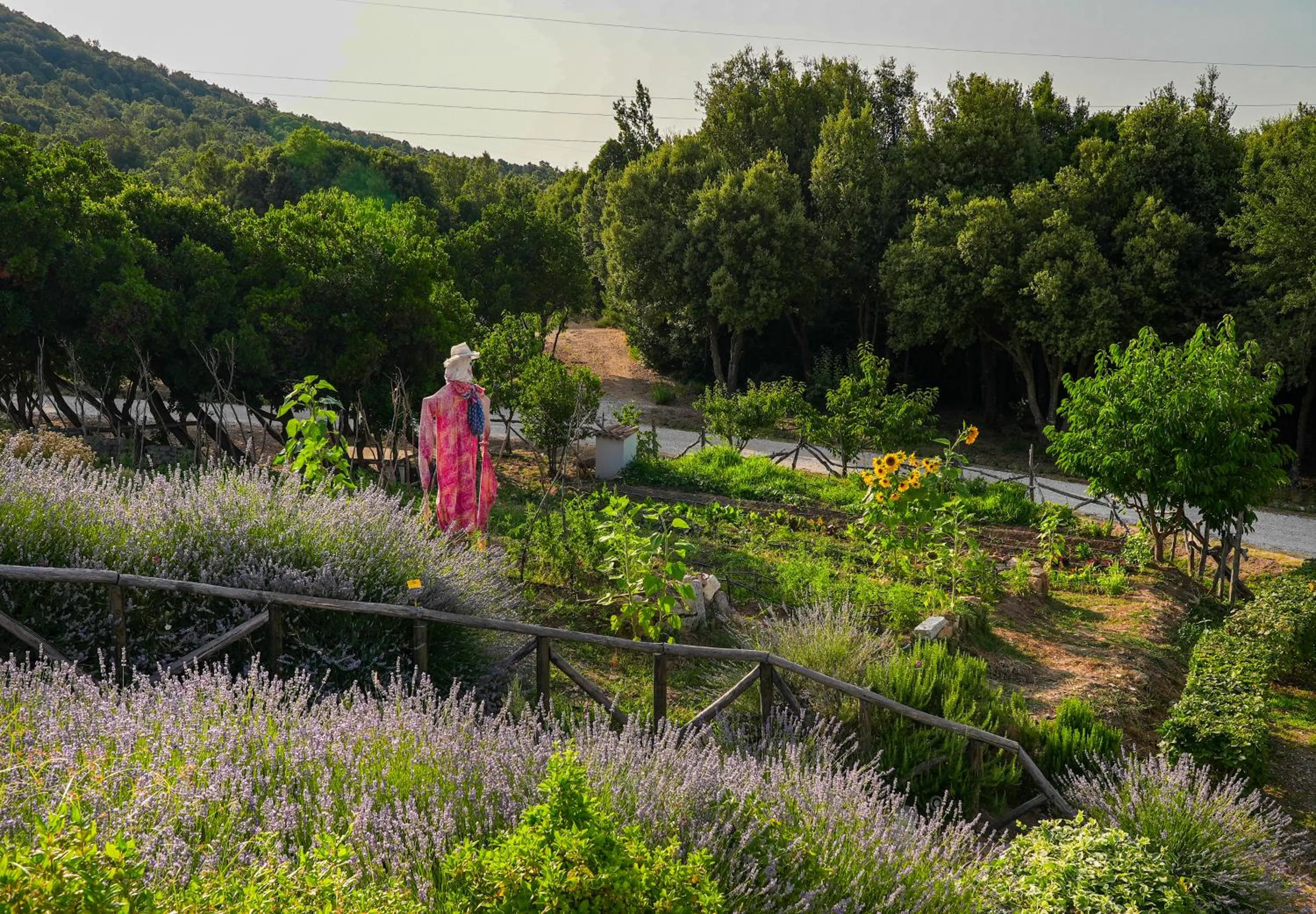 Garden view in HOTEL ORLANDO Sardegna