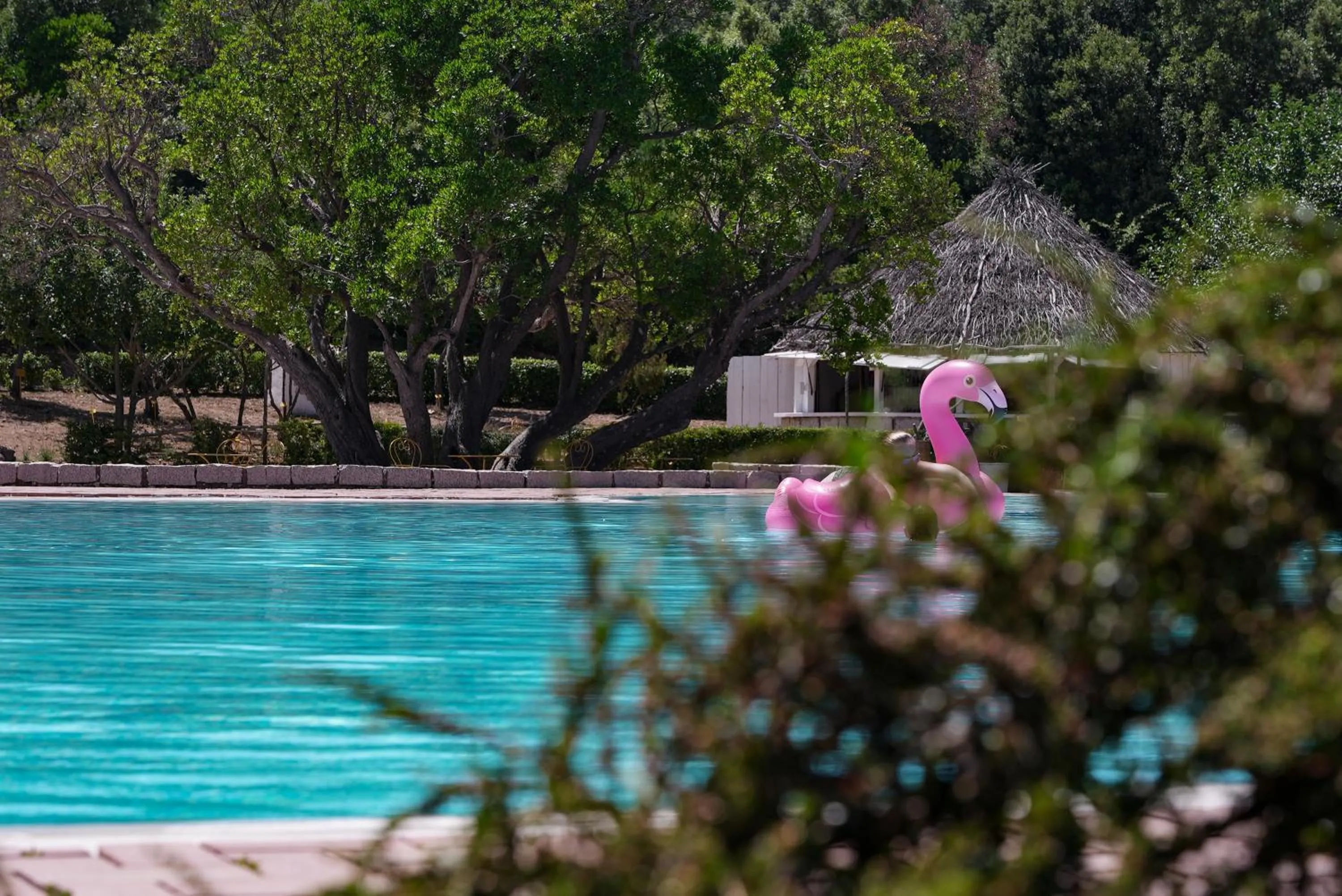 Swimming pool in HOTEL ORLANDO Sardegna