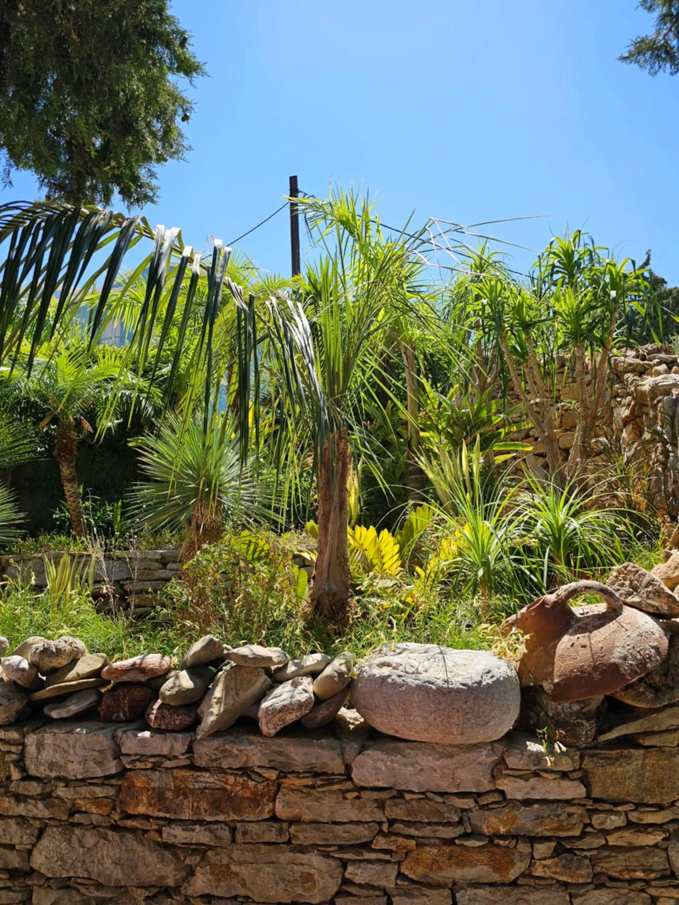 Garden in Niriides Hotel Apartments