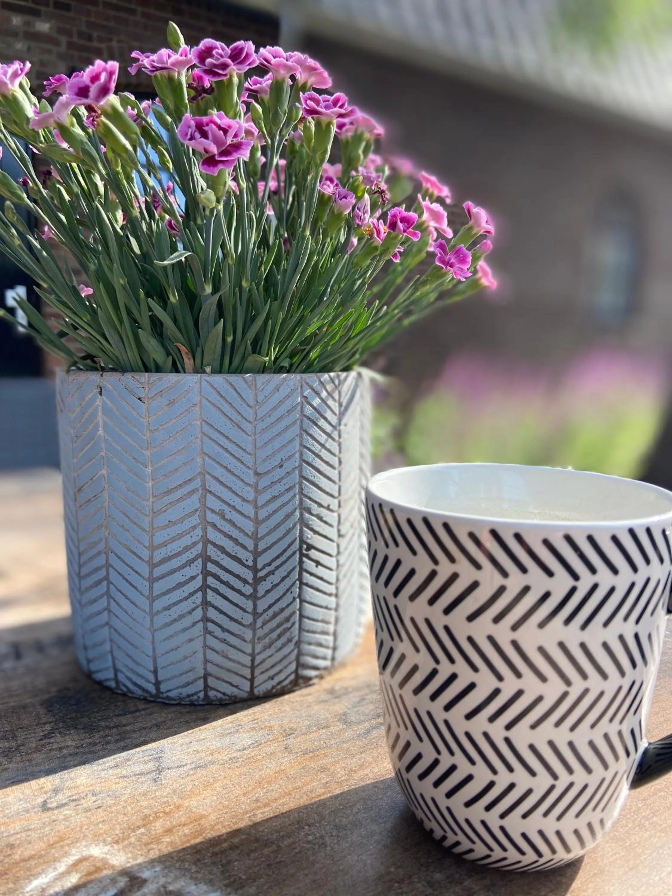 Property building in Hostellerie Horst