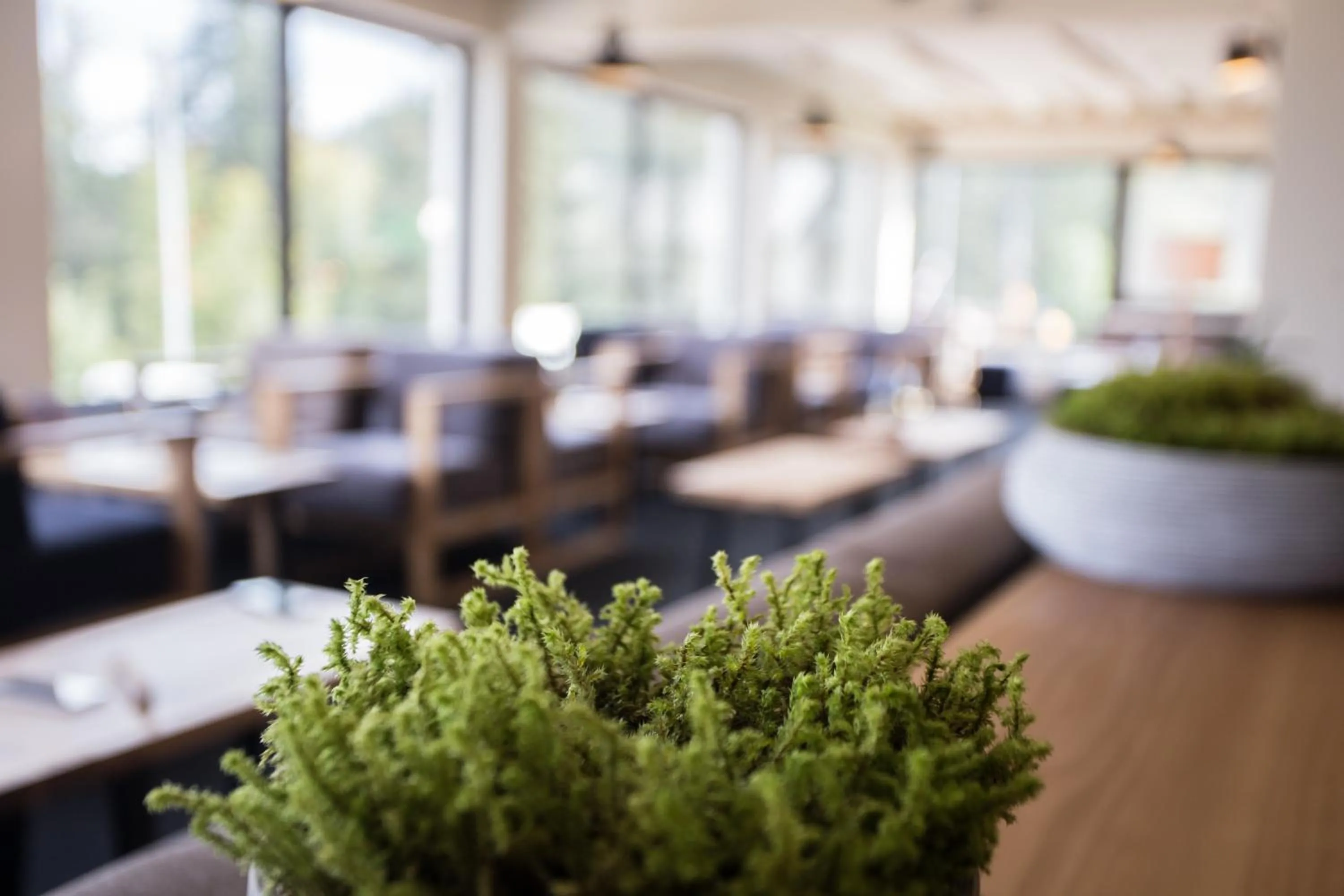 Lounge or bar in Hotel Board