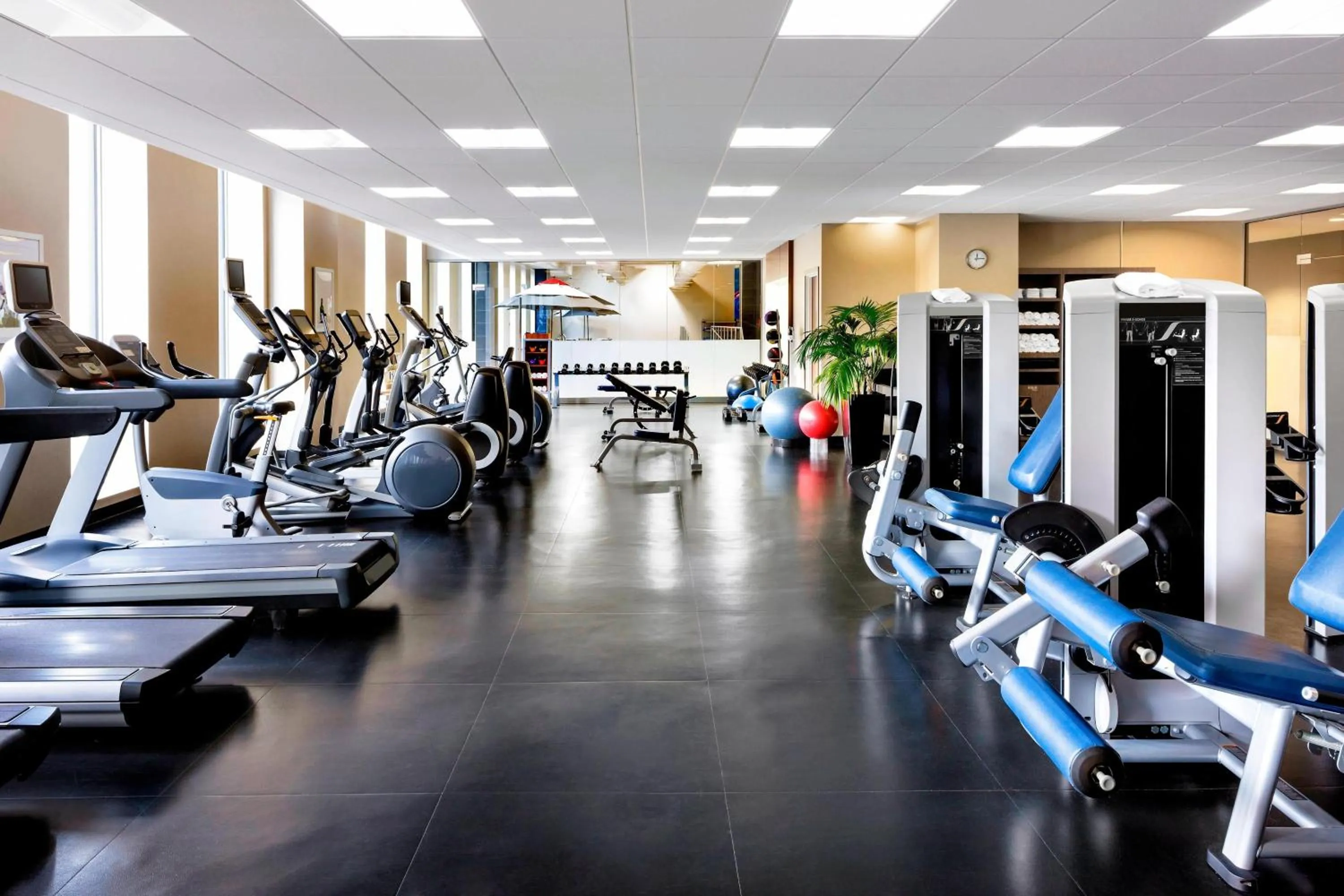 Fitness centre/facilities in Le Westin Montreal