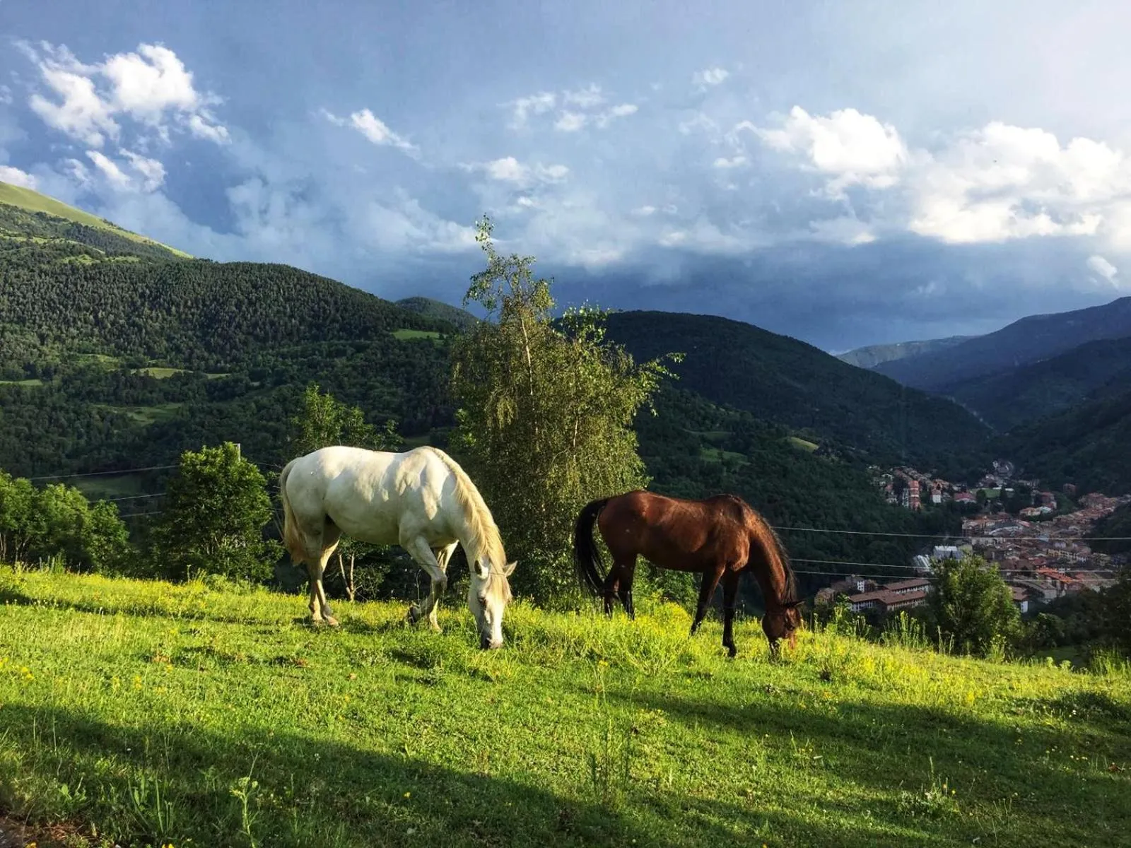 View (from property/room) in Serrat del Vent - Adults only