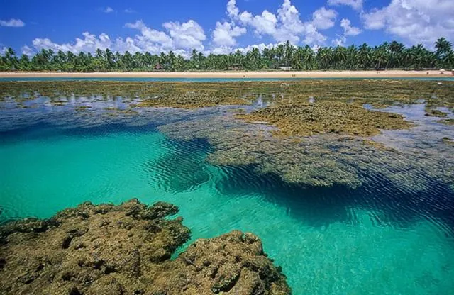 Beach in Pousada Espaço do Sagui - Taipu de Fora