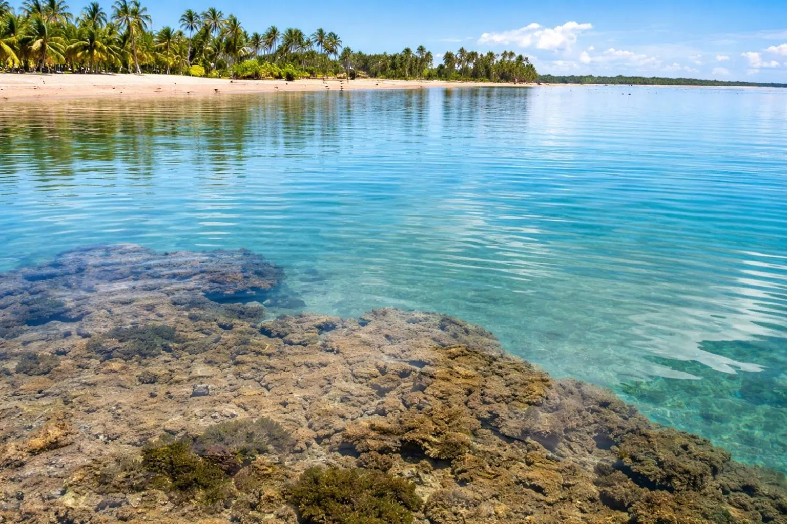 Pousada Espaço do Sagui - Taipu de Fora