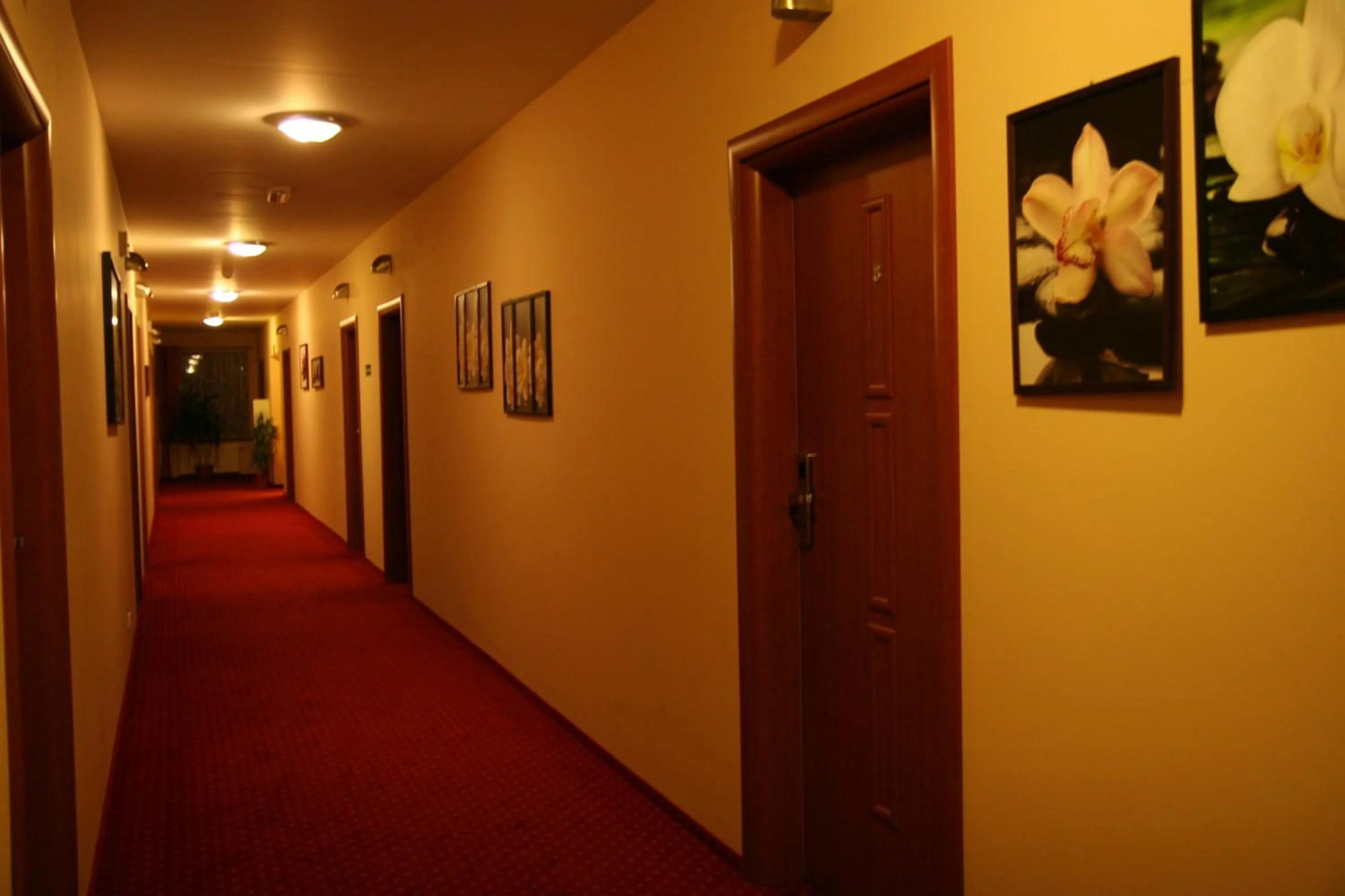 Lobby or reception in Hotel Karolinka
